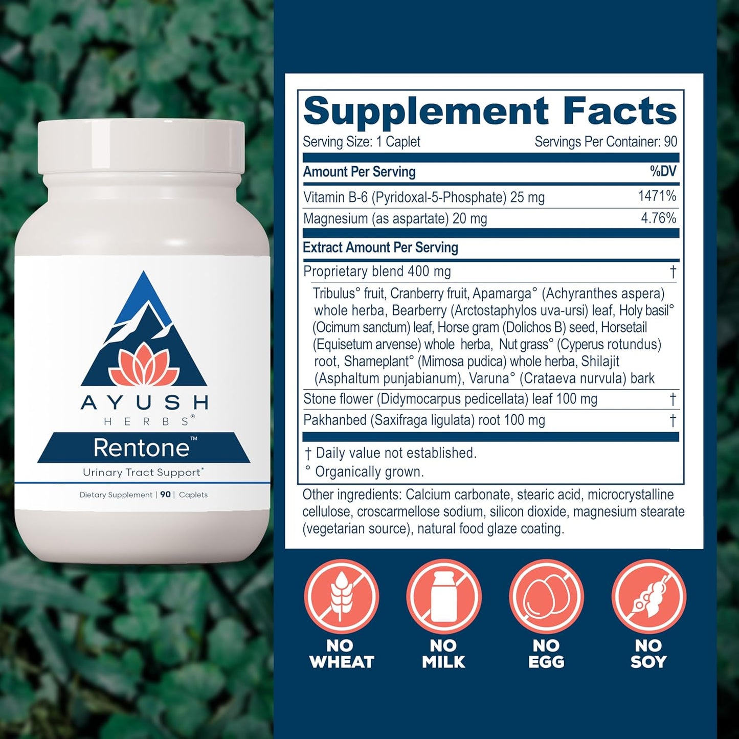 Rentone Kidney Support Supplement with Cranberry for Men & Women - 90 Vegetarian Capsules - Promotes Urinary Health & Bladder Function