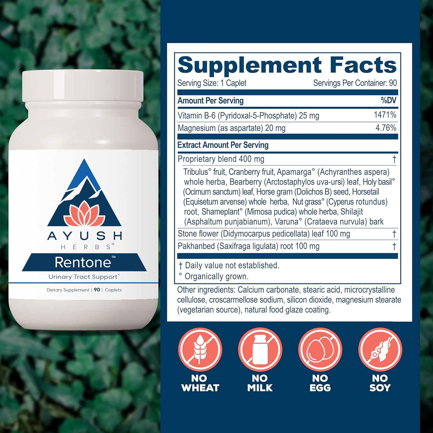 Rentone Kidney Support Supplement with Cranberry for Men & Women - 90 Vegetarian Capsules - Promotes Urinary Health & Bladder Function