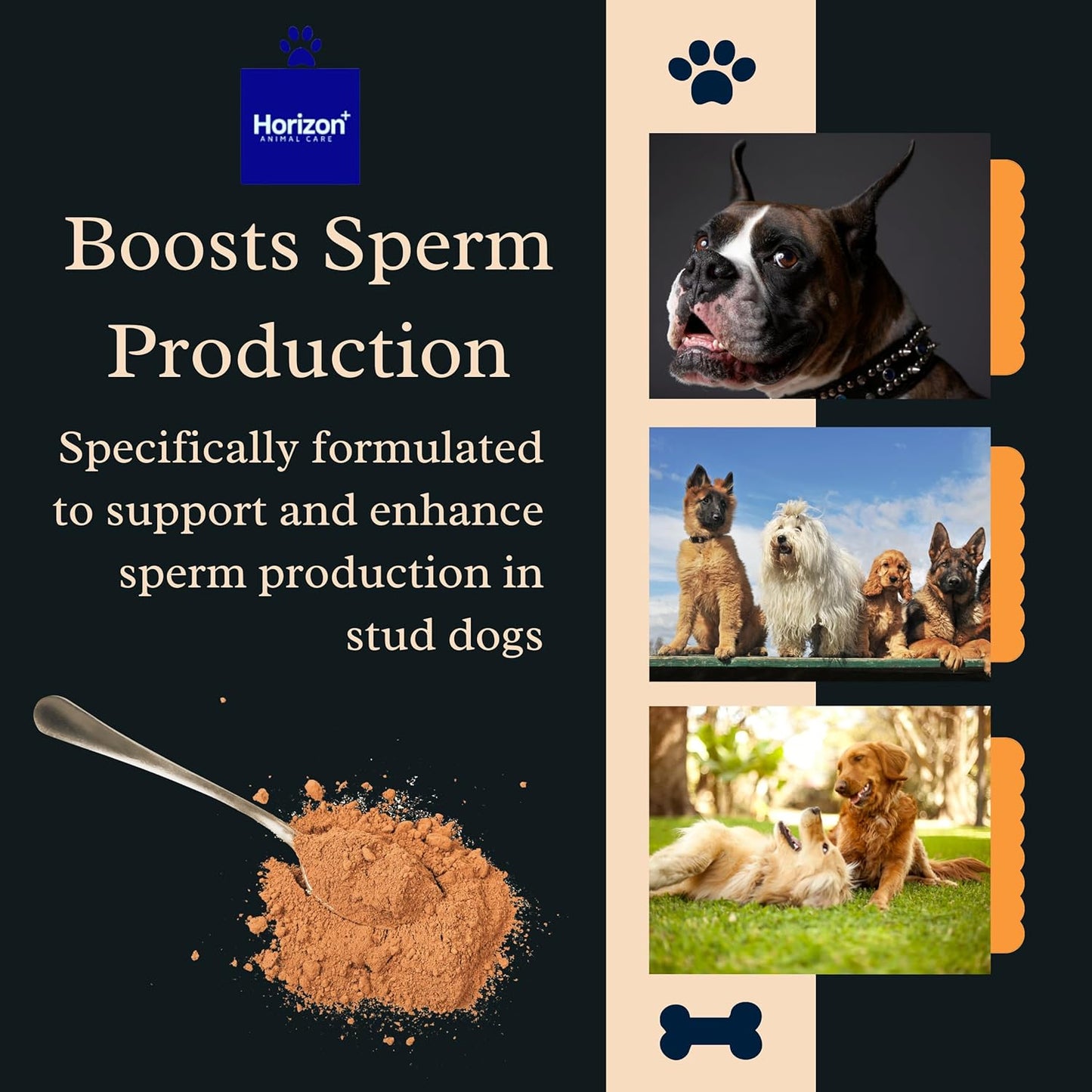 ReproStud Max™ Canine Sperm Enhancer Supplement for Male Dogs - Advanced Formula for Optimal Reproductive Cell Production - Vital Support for Dog Breeding - 1 Bottle
