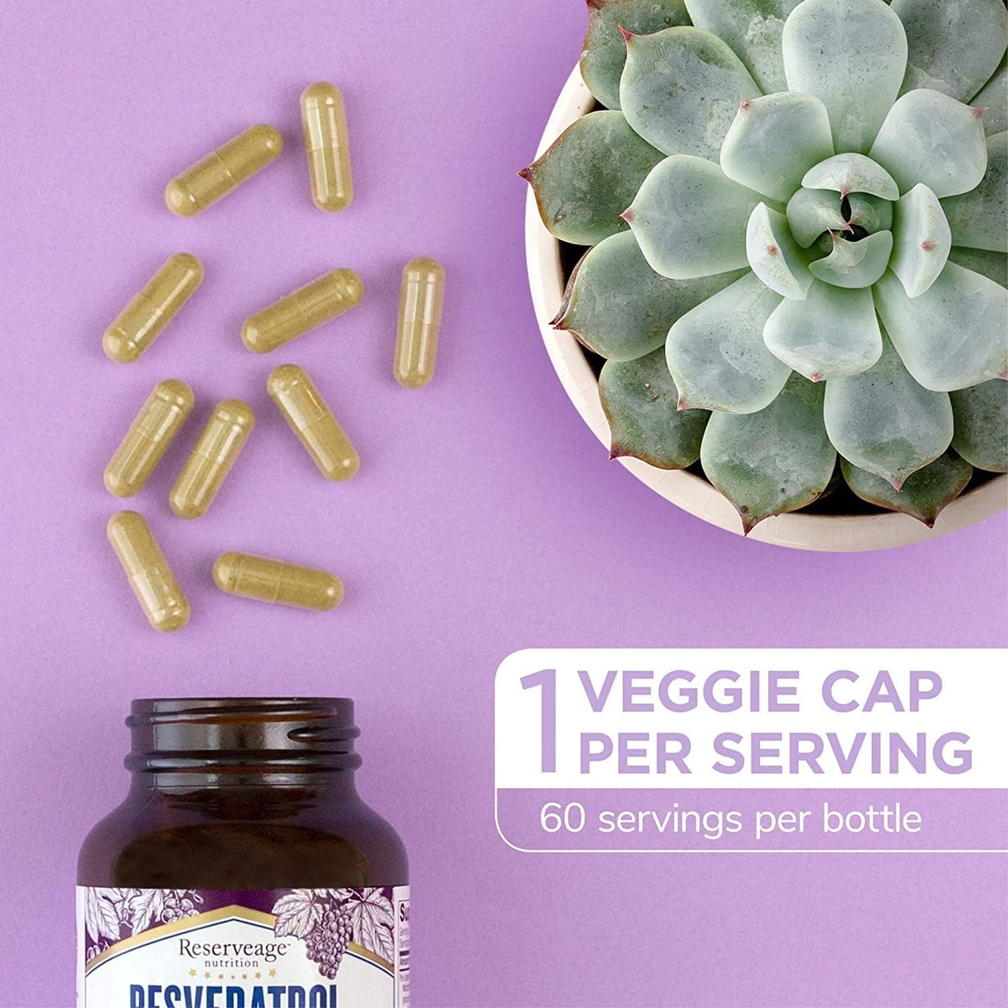 Reserveage Nutrition Reserveage Beauty Resveratrol 500 mg - Sustained-Release Trans-Resveratrol - Vegan Antioxidant Supplement for Brain & Heart Health 60 Capsules & Twinlab TWL Women's Daily One 60 ct