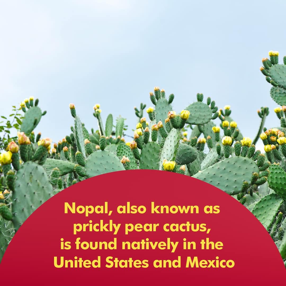 Resveratrol and Nopal Bundle by Santo Remedio for Enhanced Health Benefits