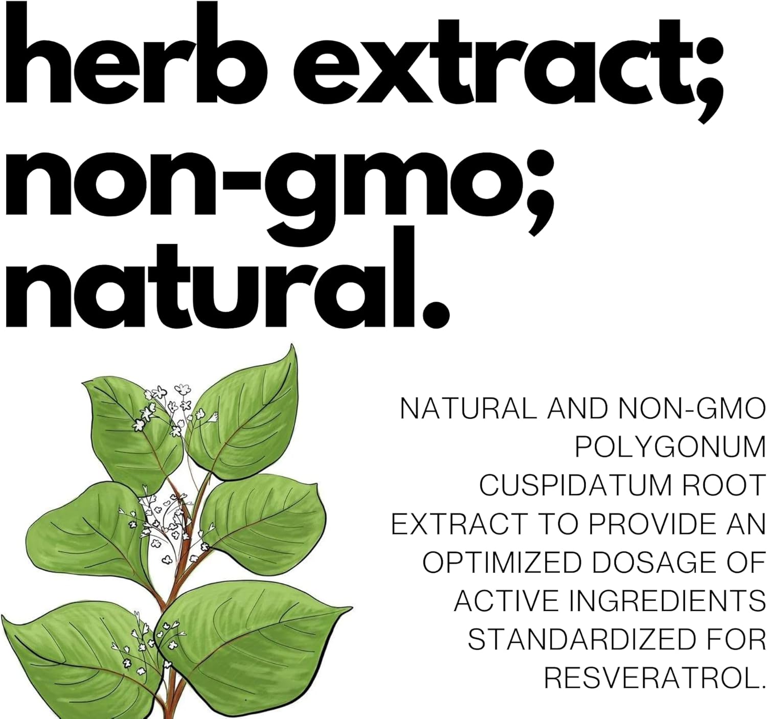 Resveratrol Capsules - 99% Trans-Resveratrol - Japanese Knotweed Extract - Immunity & Anti-Aging Support - 120 Capsules