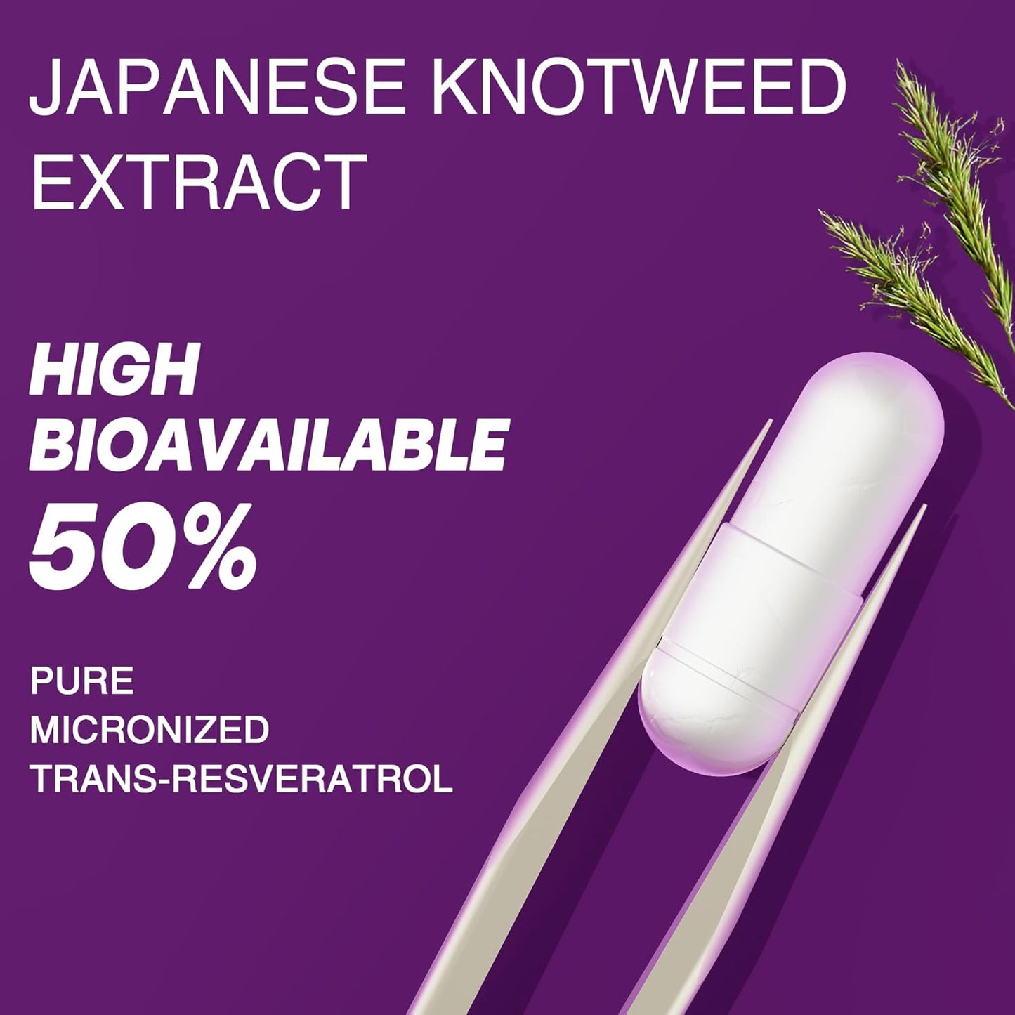 Resveratrol Capsules with Safgumjel, Twin Pack for Antioxidant Support