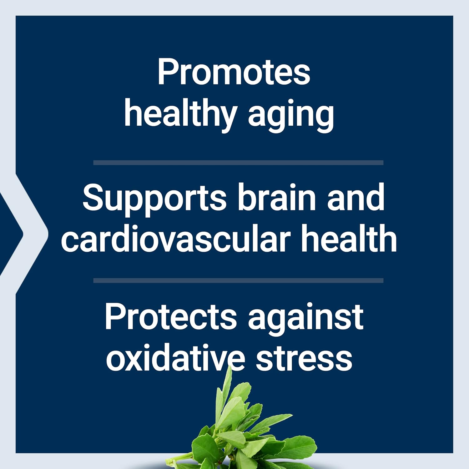 Resveratrol Elite: Supports Healthy Aging, Cardiovascular & Brain Health, Reduces Oxidative Stress, Gluten-Free, Non-GMO, Vegetarian - 30 Capsules