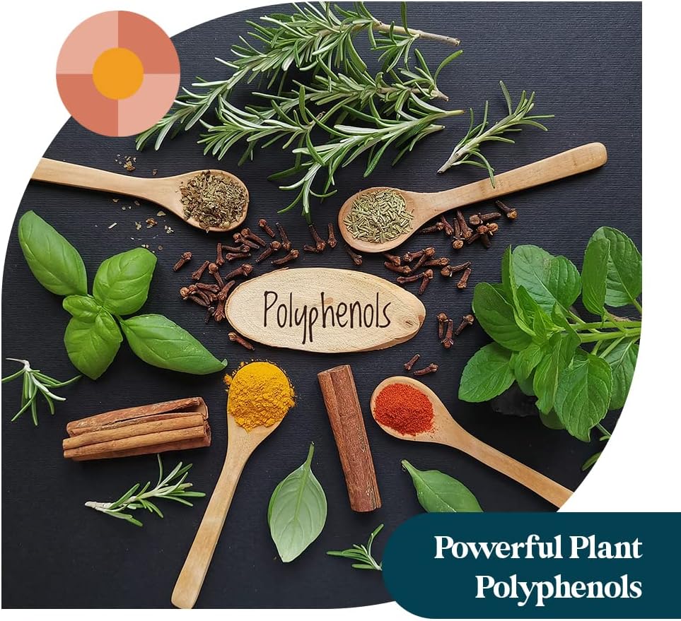 Resveratrol & Fisetin Supplement for Whole Body & Heart Health - Natural Antioxidant - Boost Immune Response - No Fillers - 60 Capsules