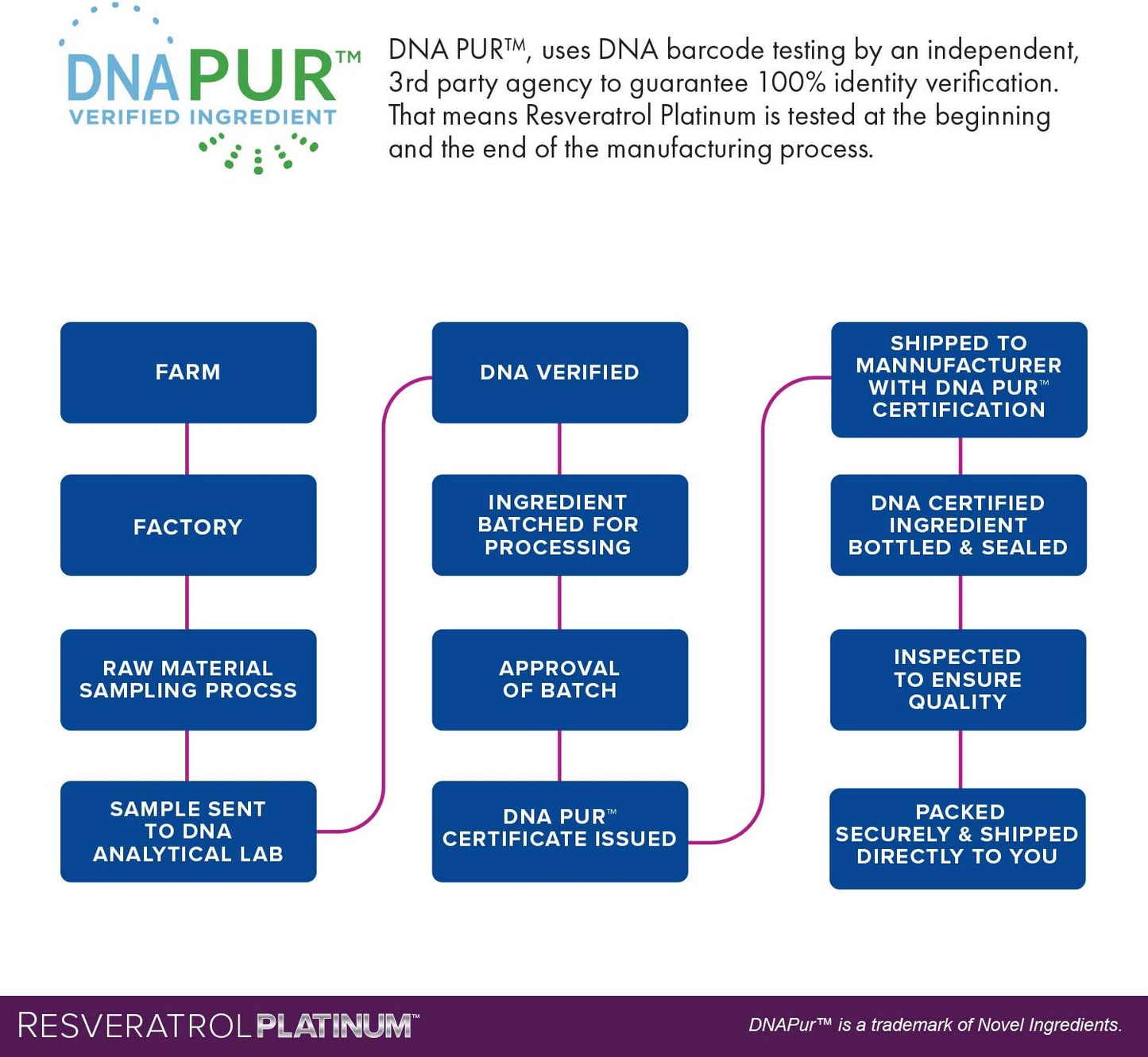 Resveratrol Platinum Antioxidant Supplement for Anti Aging, Immune Support, Brain Health - 30 Gluten Free Capsules