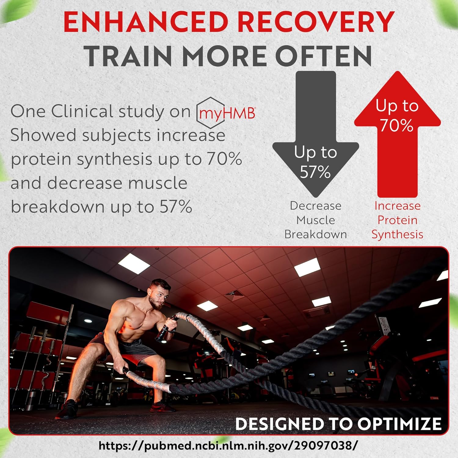 Revival Point Muscle Genesis HMB and Vitamin D3 Supplement - 5000mg Per Serving - Promotes Recovery and Lean Muscle Mass - 6 Bag Pack