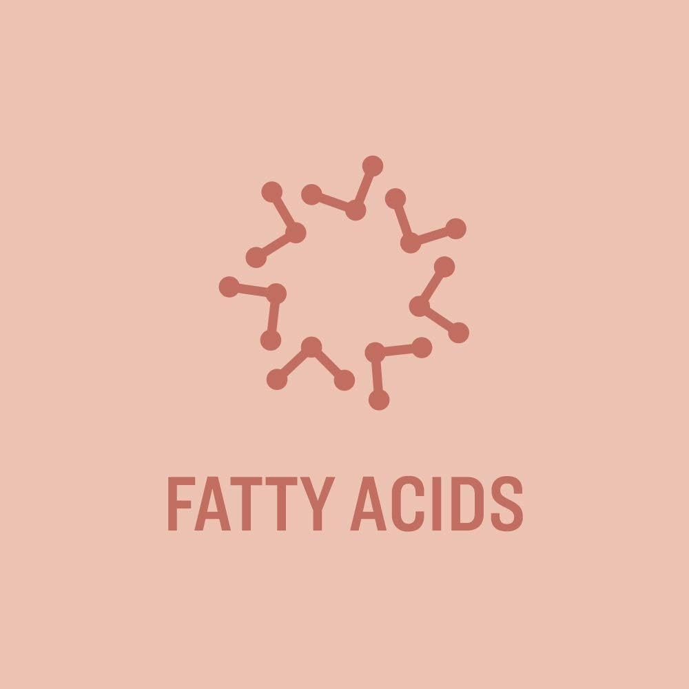 Revly Adult DHA Omega 3 Fatty Acids Softgels, Natural Strawberry Flavor, 900mg per Serving, 60 Count