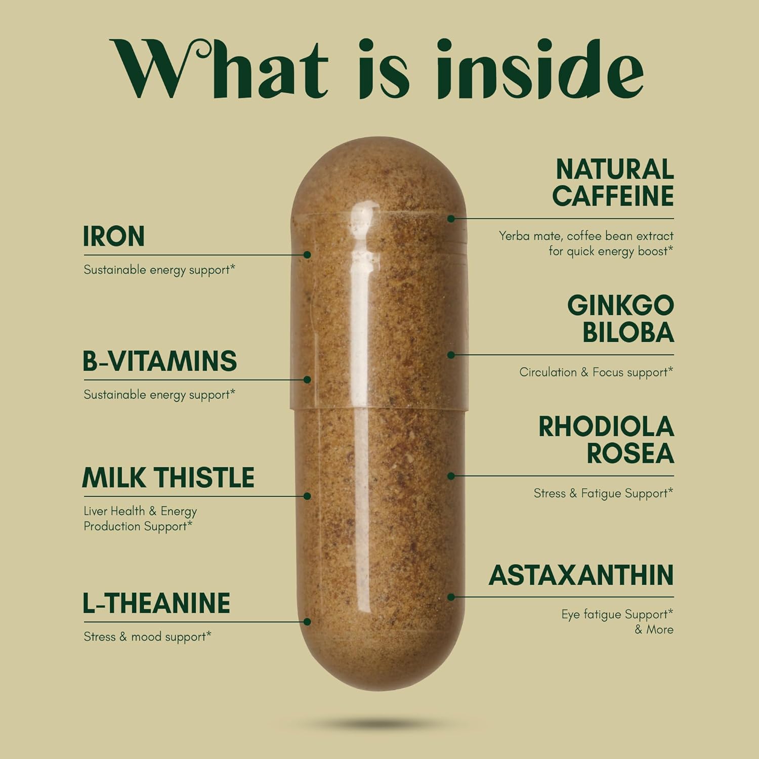 Rhodiola Rosea, Lions Mane, L Theanine, Ginkgo Biloba Stress Energy Brain Supplement - Cortisol, Energy, Stress Support - 2 Month Supply