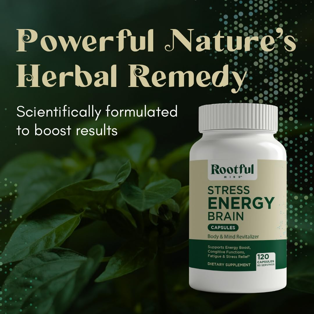 Rhodiola Rosea, Lions Mane, L Theanine, Ginkgo Biloba Stress Energy Brain Supplement - Cortisol, Energy, Stress Support - 2 Month Supply