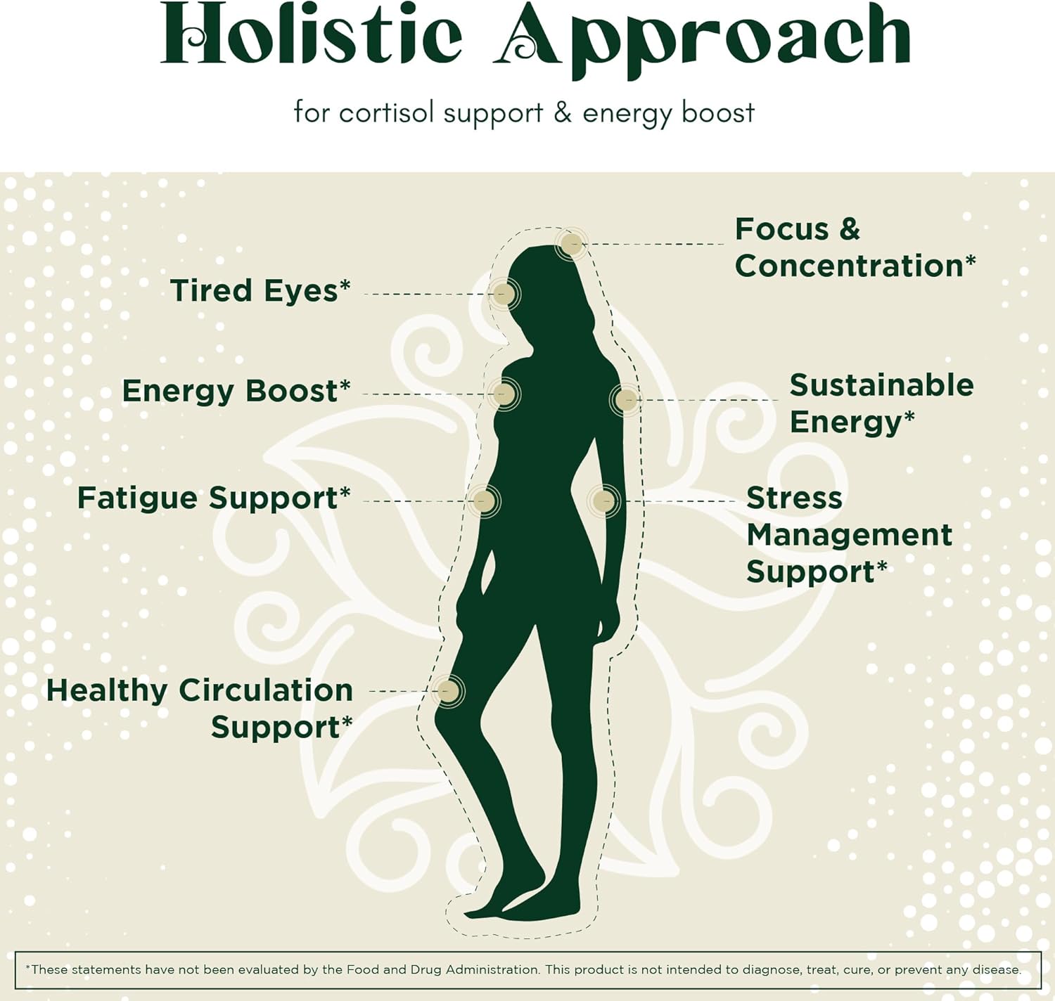 Rhodiola Rosea, Lions Mane, L Theanine, Ginkgo Biloba Stress Energy Brain Supplement - Cortisol, Energy, Stress Support - 2 Month Supply