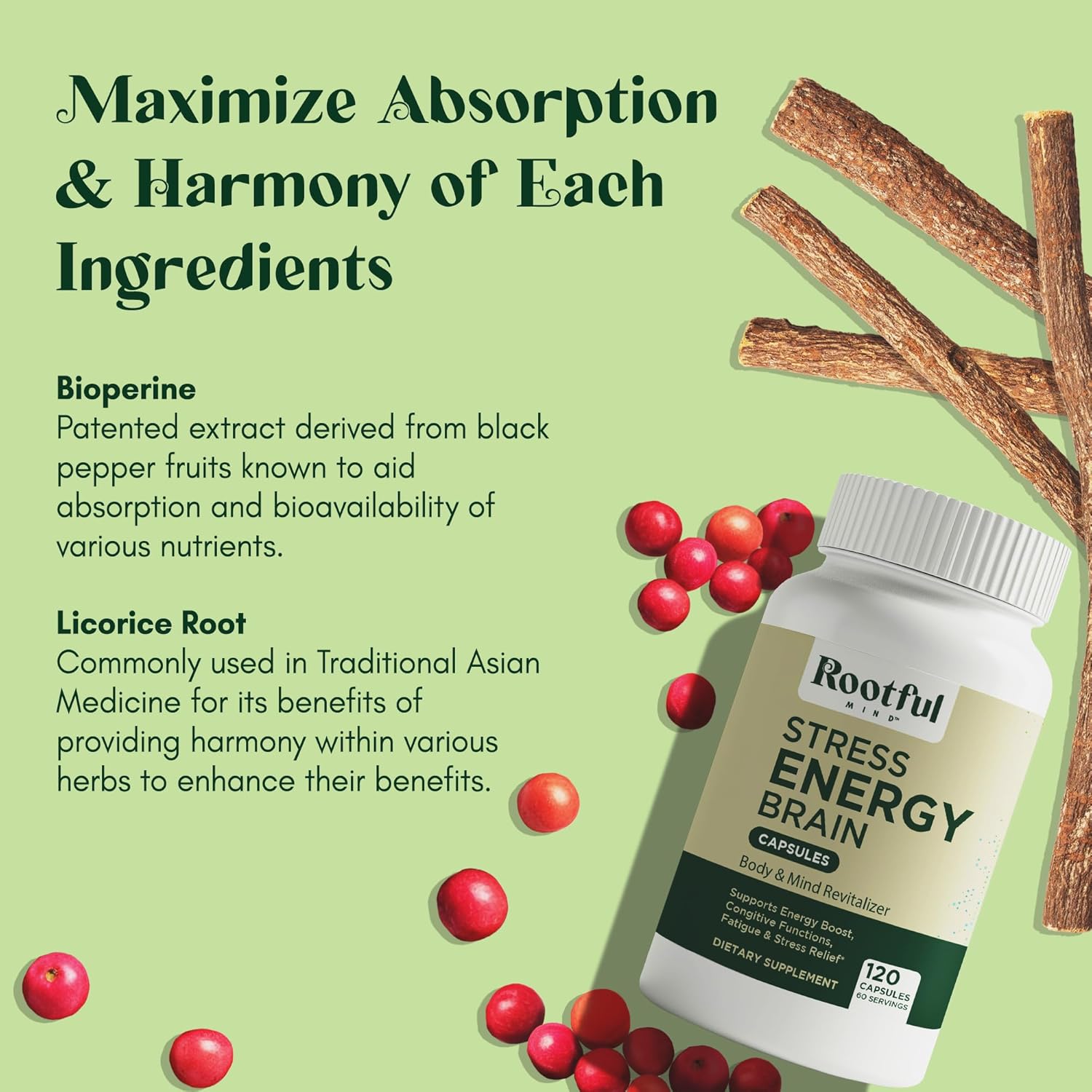 Rhodiola Rosea, Lions Mane, L Theanine, Ginkgo Biloba Stress Energy Brain Supplement - Cortisol, Energy, Stress Support - 2 Month Supply