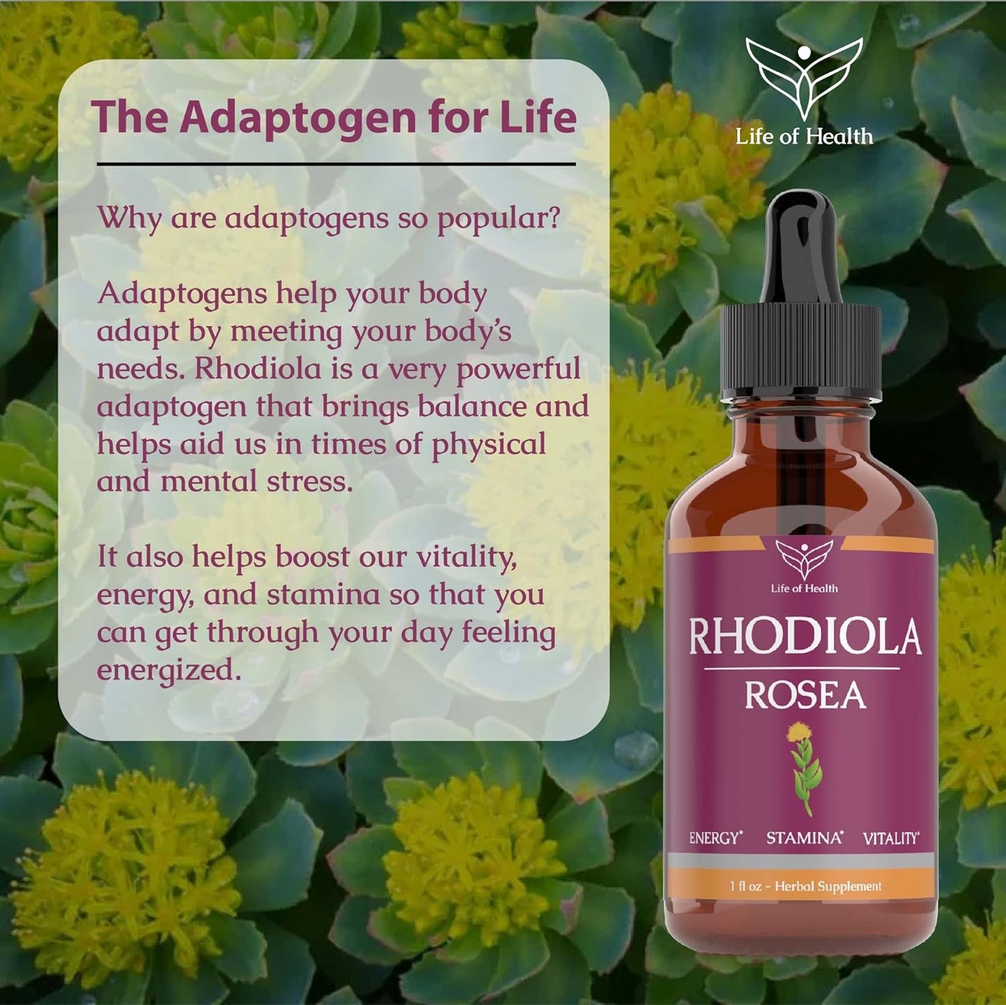 Rhodiola Rosea Tincture for Energy, Stamina, Cognitive Support - Natural Rhodiola Extract Supplement for Wellness - 2 oz