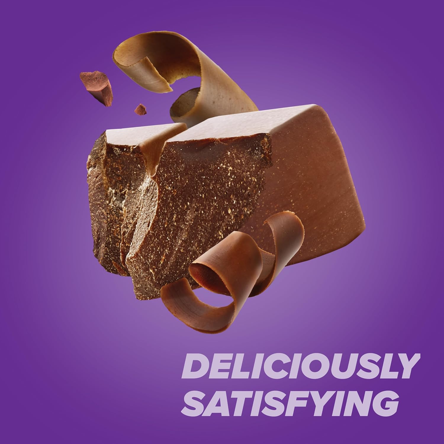 Rich Chocolate Whey Protein Powder, 1 lb - Gluten Free, High Protein, Low Sugar