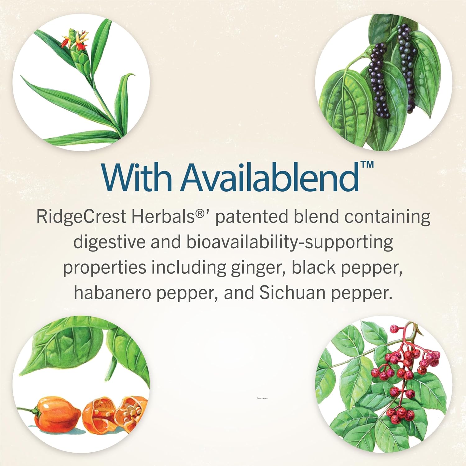 RidgeCrest ClearLungs Extra Strength Herbal Decongestant - 60 Vegetarian Capsules by RidgeCrest Herbals