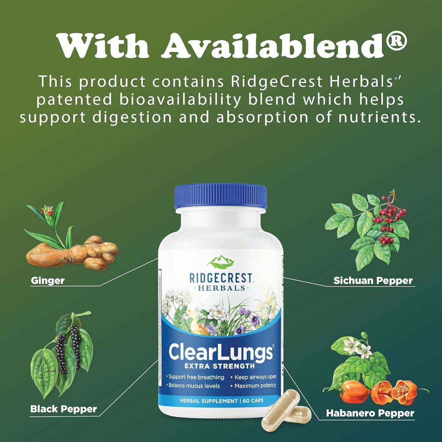 RidgeCrest Herbals ClearLungs Extra Strength Capsules for Lung, Nasal, and Respiratory Health (60 Count)