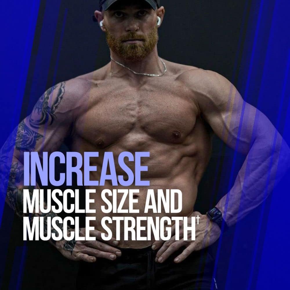 RipFACTOR® Alpha Lion Gains Candy Supplement Pills - Muscle Growth & Strength Booster - 60 Capsules - Daily Energy Upgrade