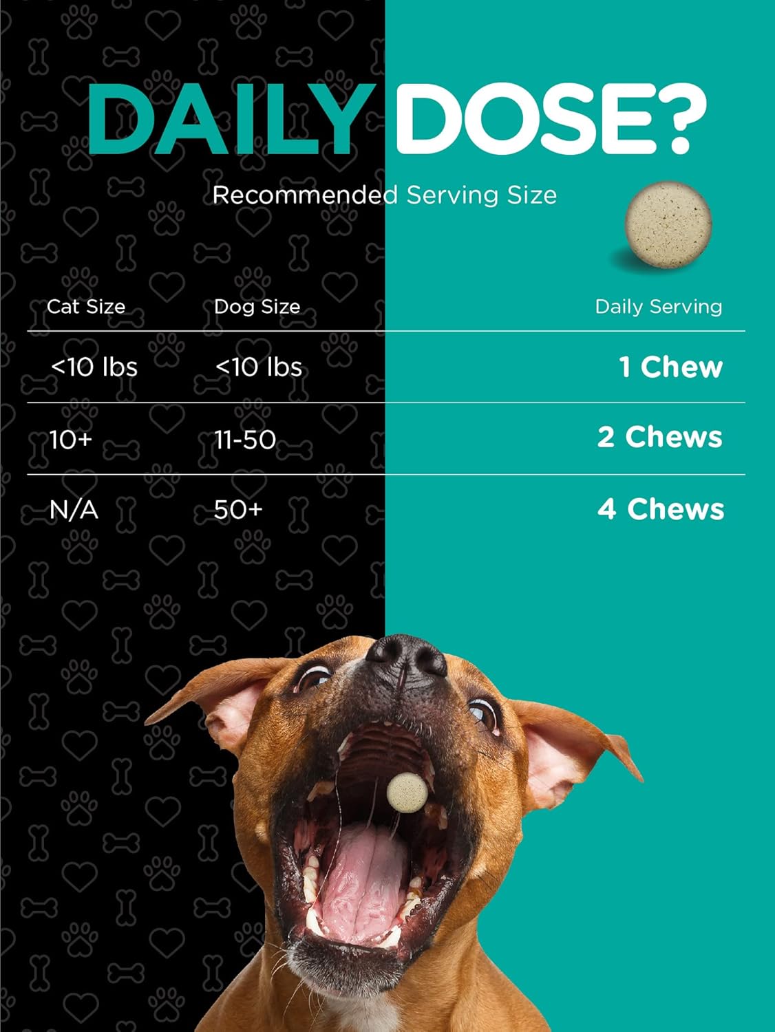 River & RULA Savory Beef Flavored Probiotics for Dogs & Cats | 120 Chewable Tablets | Digestive Aid with 14 Probiotic Strains