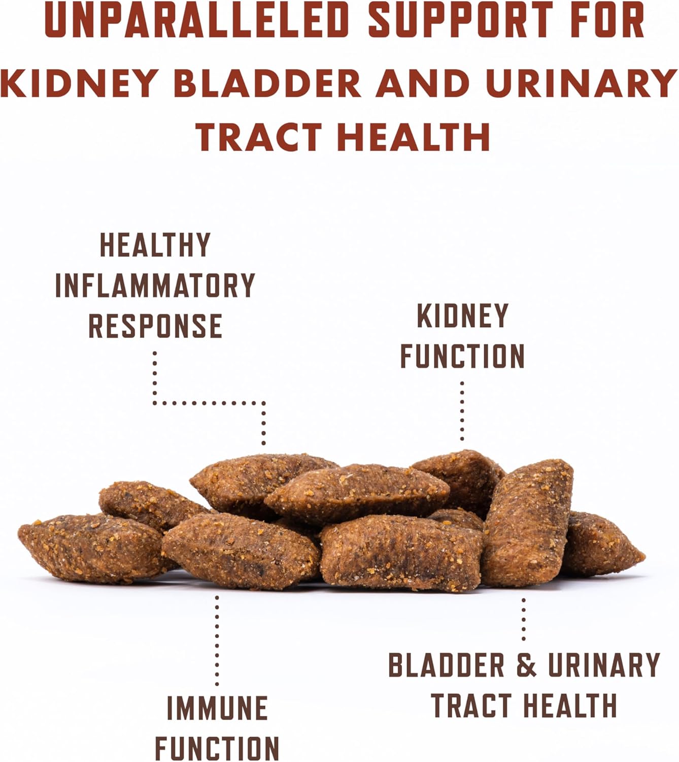 Rocco & Roxie Cat Urinary Tract Health Supplement with Cranberry and D-Mannose for Kidney, Bladder, and UT Support - Chicken Flavored Crunchy Chews - Made in USA
