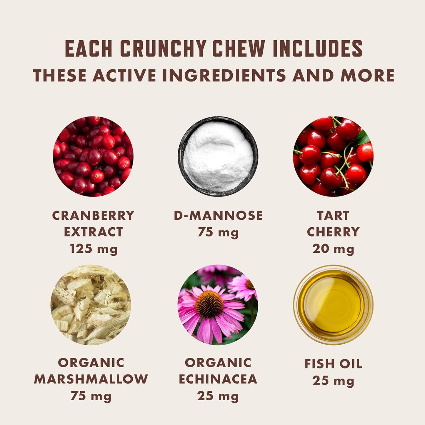 Rocco & Roxie Cat Urinary Tract Health Supplement with Cranberry and D-Mannose for Kidney, Bladder, and UT Support - Chicken Flavored Crunchy Chews - Made in USA