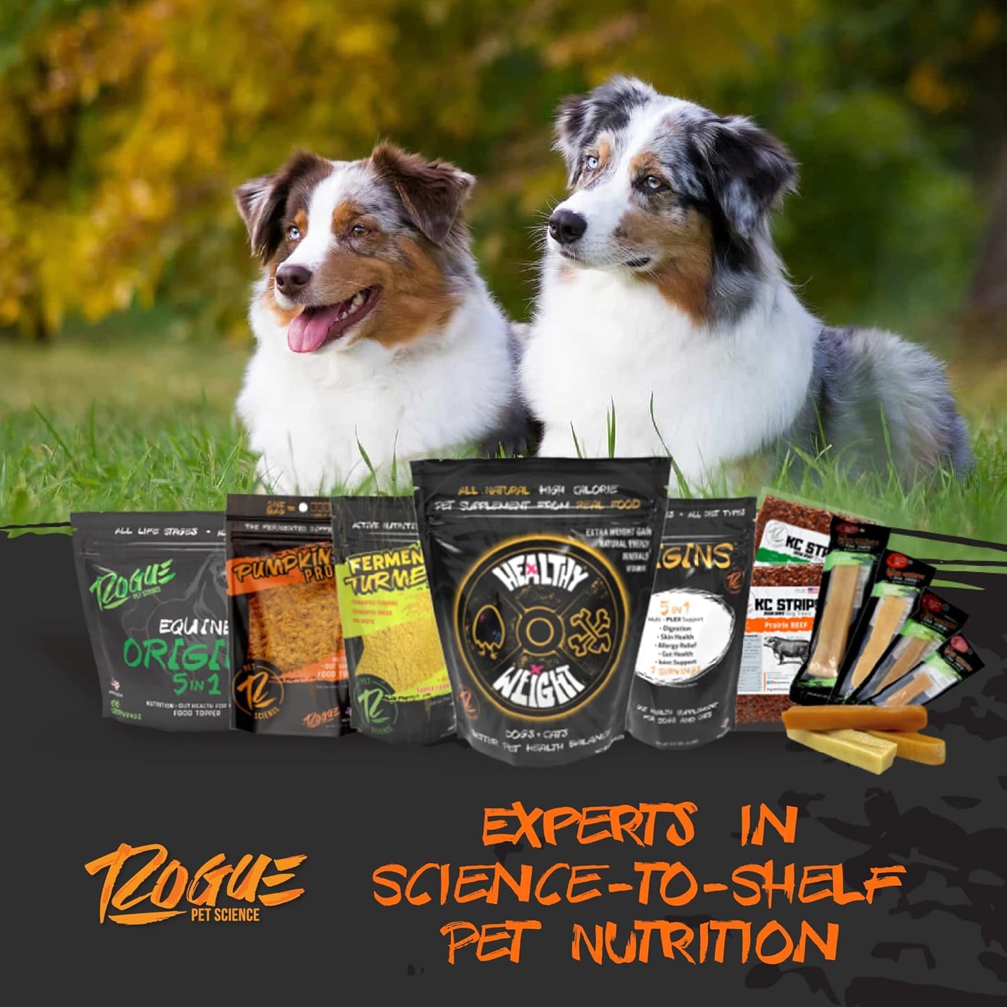 Rogue Pet Science Origins 5-in-1 Dog Supplement with Natural Omega 3 Fish Oil for Healthy Digestion, Skin, Coat, Itching & Joint Inflammation