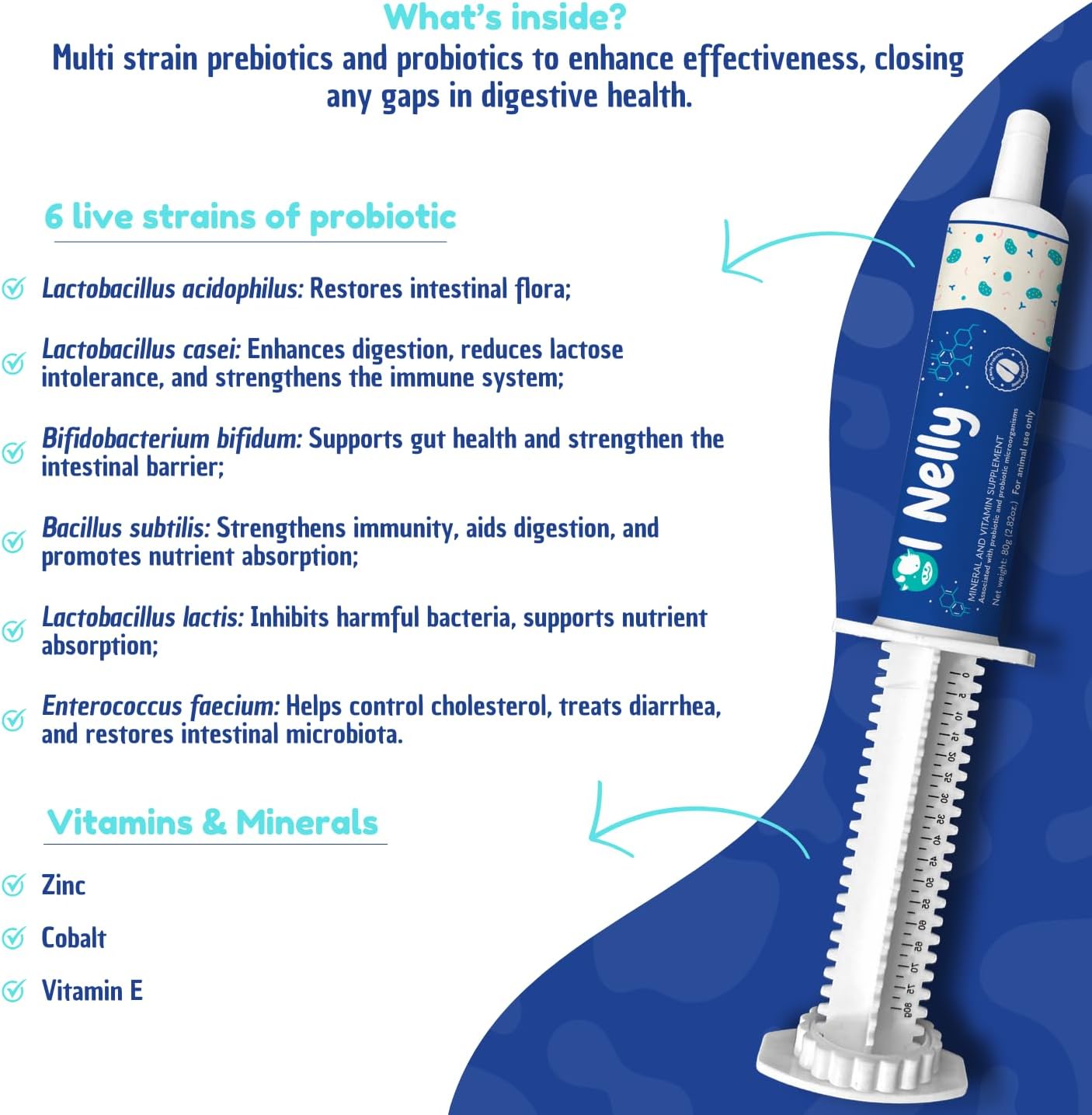 Ruminant Pre and Probiotic Paste with Vitamins and Minerals - Supports Immune and Gastro Health - 6 Strains, 8 Billion CFU - For Bovines, Goats - 80g