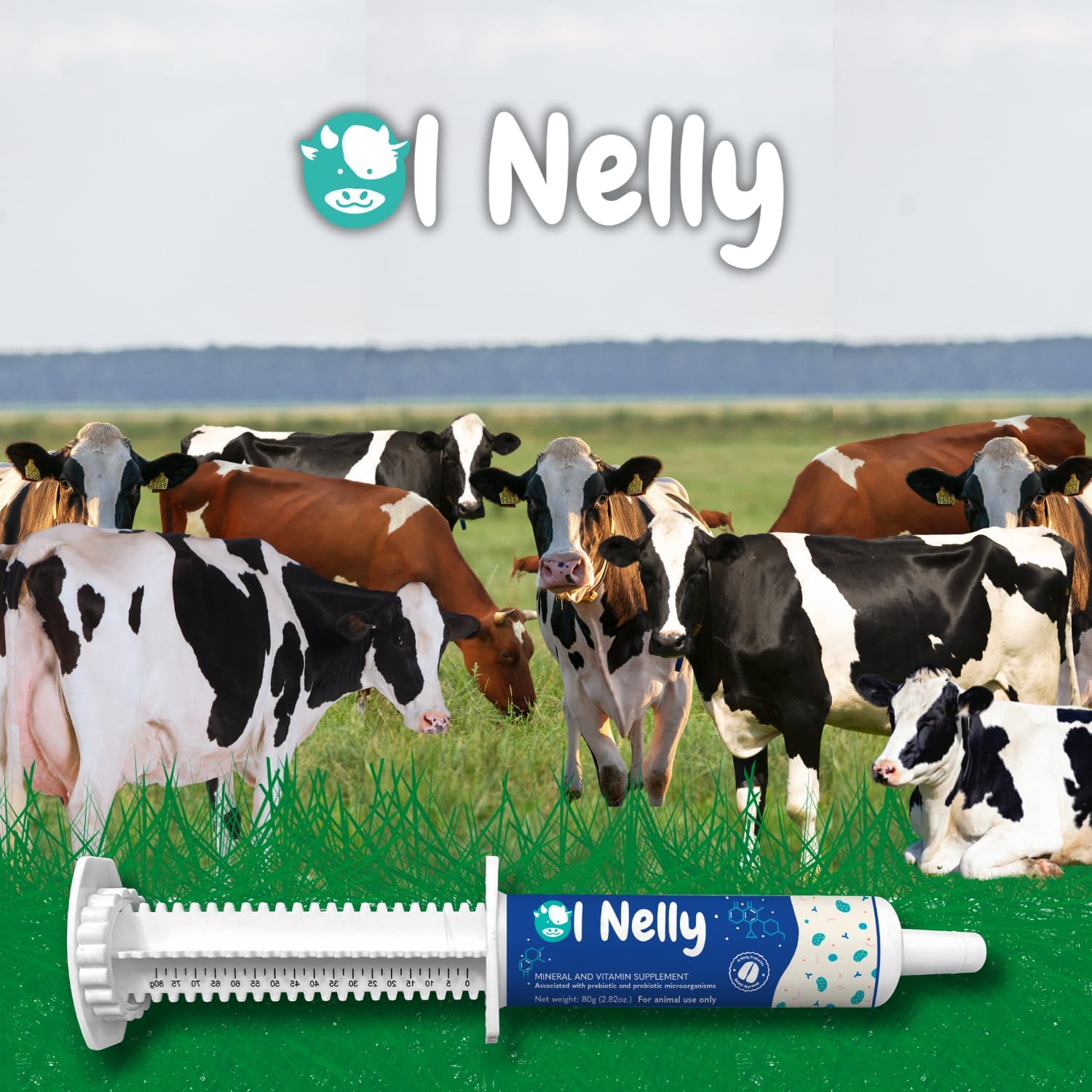 Ruminant Pre and Probiotic Paste with Vitamins and Minerals - Supports Immune and Gastro Health - 6 Strains, 8 Billion CFU - For Bovines, Goats - 80g