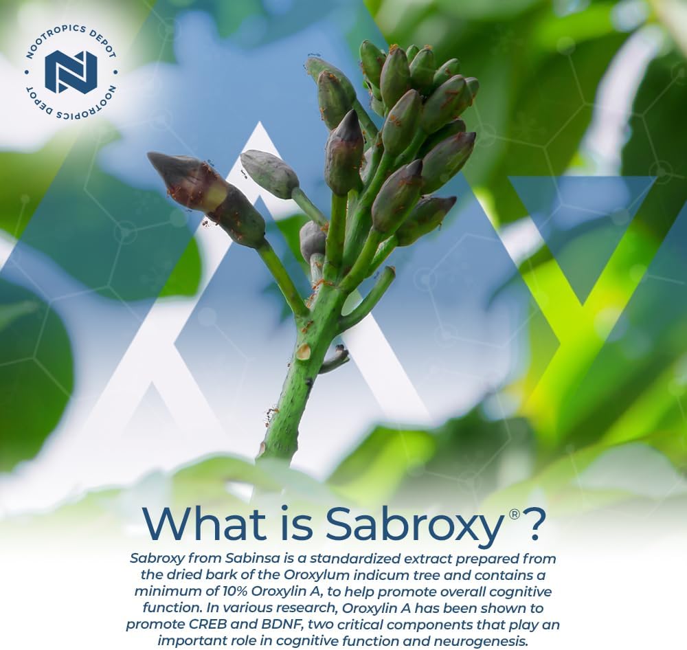 Sabroxy® Tablets - 100mg, 90 Count - 10% Oroxylin-A - Oroxylum indicum - Promotes Focus, Motivation, Cognitive Function
