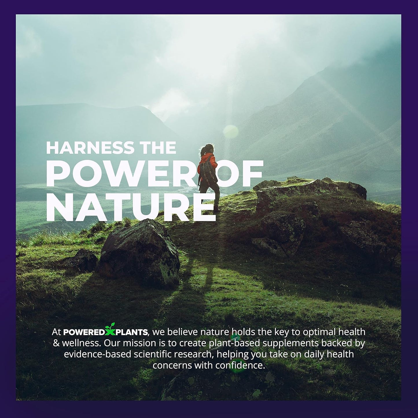 Saffron Extract Gummies with Passionflower & Vitamin D2 - Mood, Digestion, & Energy Support - 3-Pack, 60 Servings