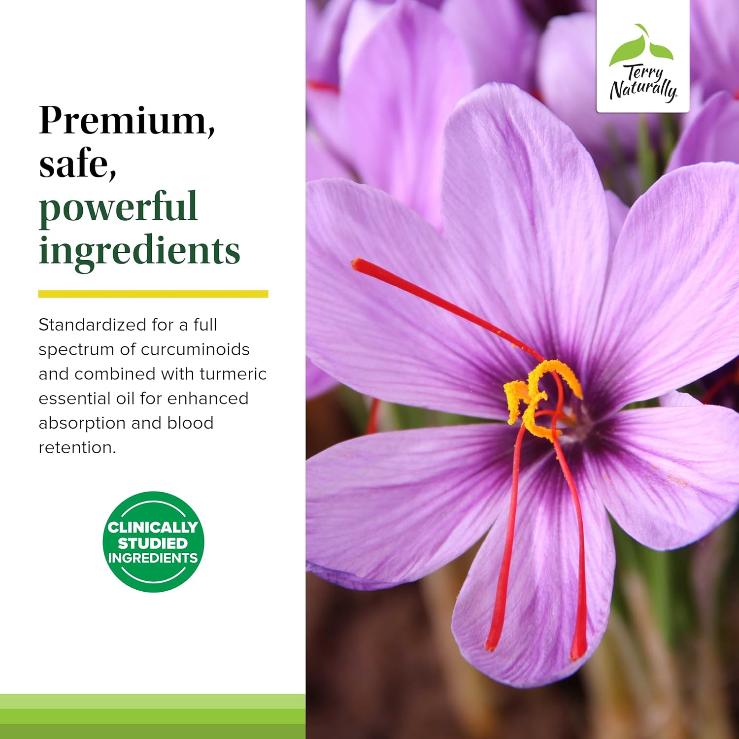 Saffron Lift + Curcumin Herbal Supplement for Concentration & Relaxation - 60 Non-GMO Capsules