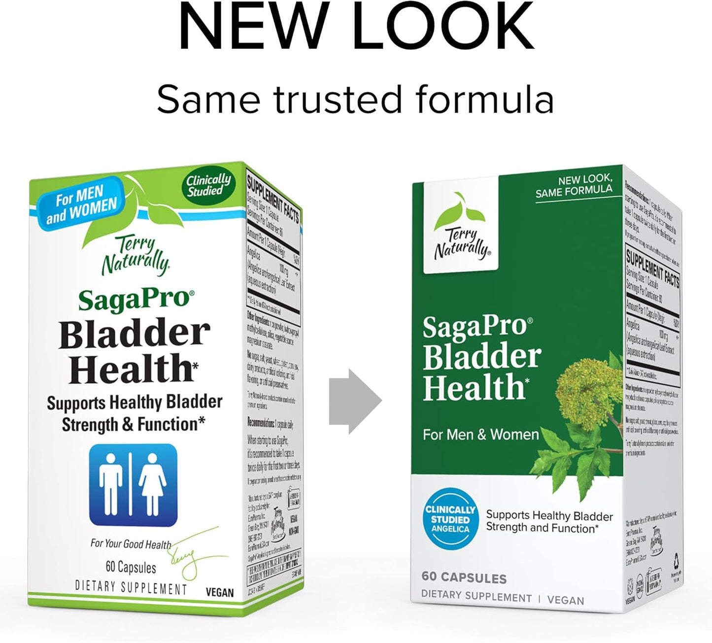 SagePro Bladder Support Supplement with Angelica Leaf Extract - 60 Vegan Capsules for Urinary Tract Health