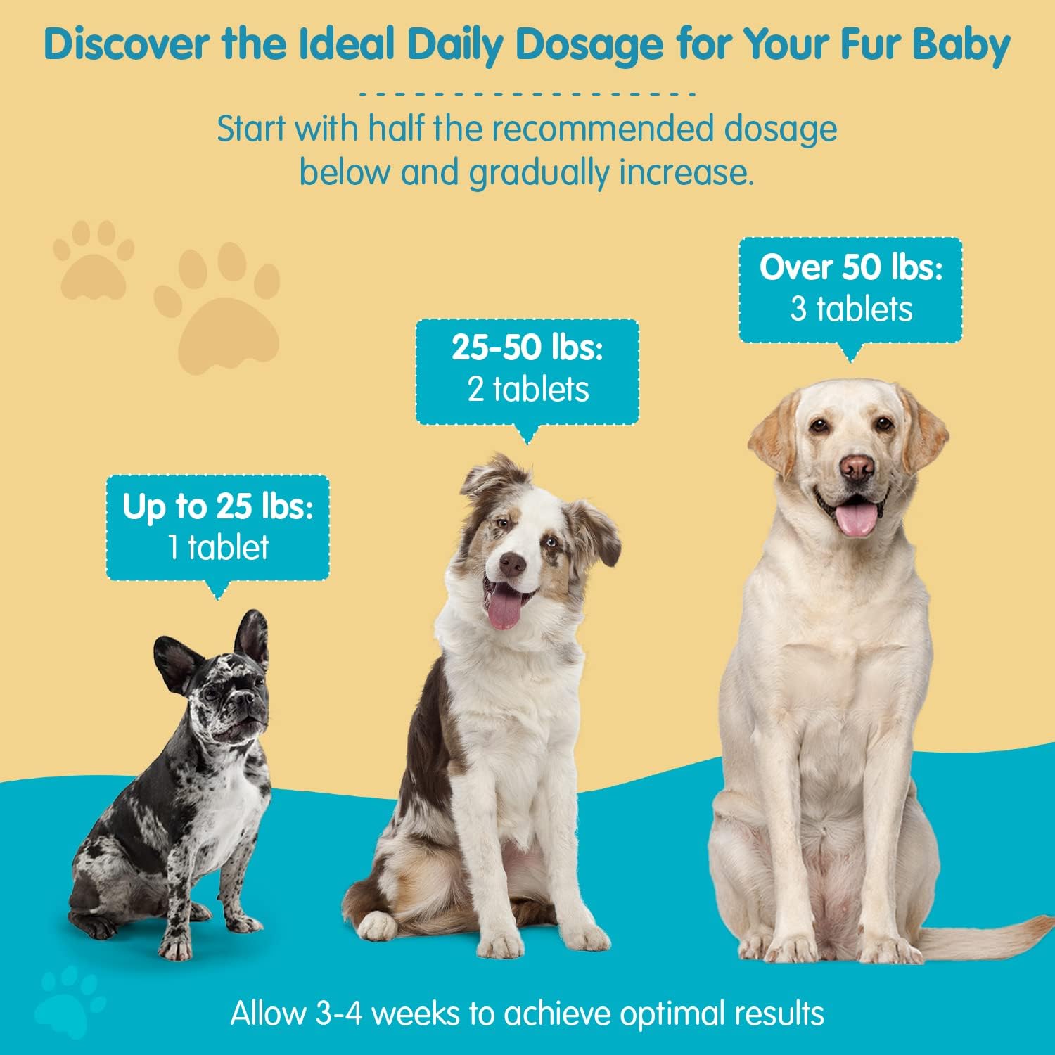 Salmon & Bacon Flavored Milk Thistle for Dogs - Natural Liver Support - Kidney Cleanse & Detox Formula - 100 Chewable Tablets - Made in USA