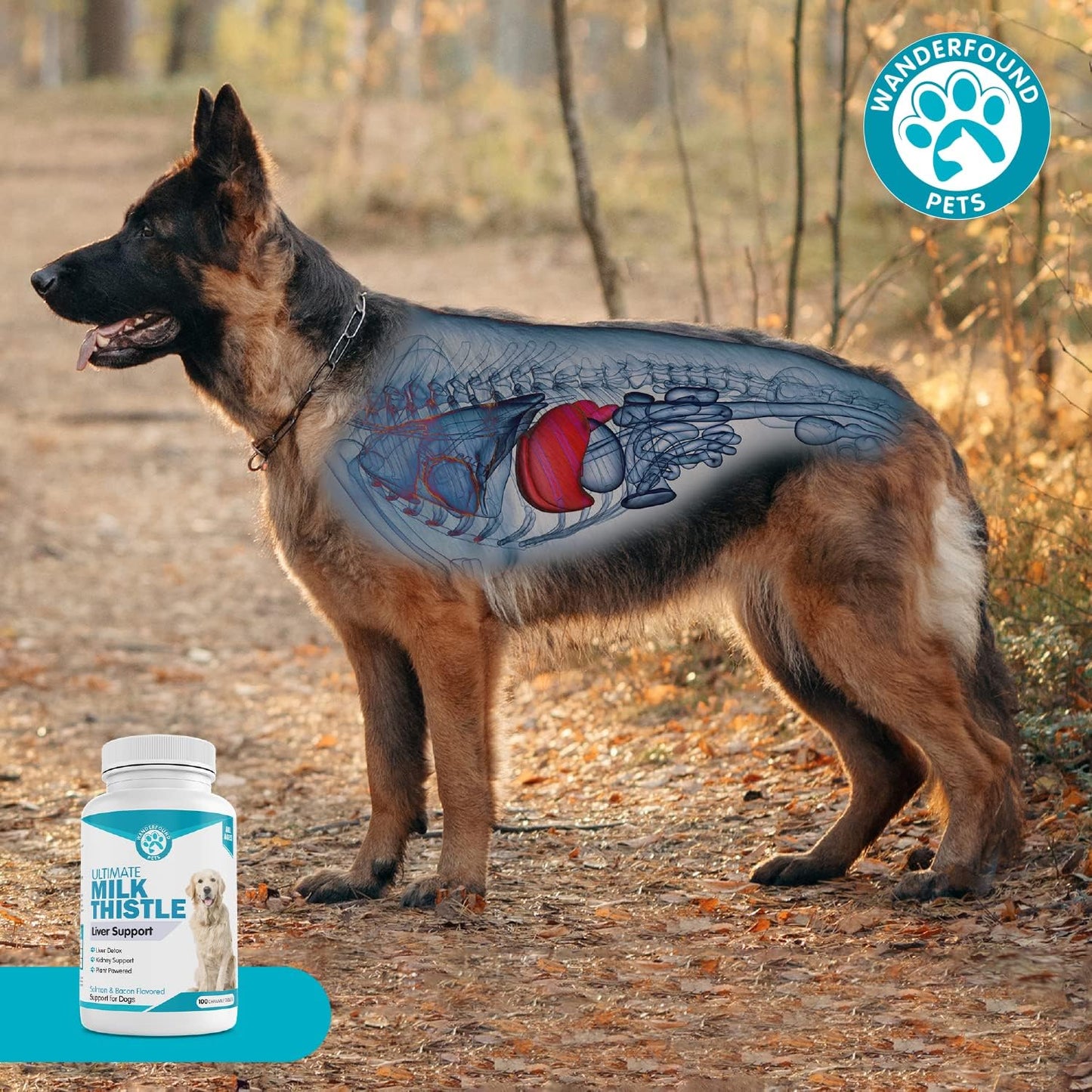 Salmon & Bacon Flavored Milk Thistle for Dogs - Natural Liver Support - Kidney Cleanse & Detox Formula - 100 Chewable Tablets - Made in USA