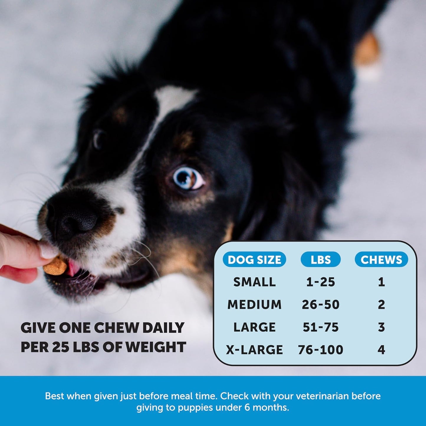 Salmon Chews for Dogs - Omega 3 Fish Oil & Natural Salmon Oil Supplements for Skin & Coat Health, Itch Relief, Shedding Control - 90 Ct