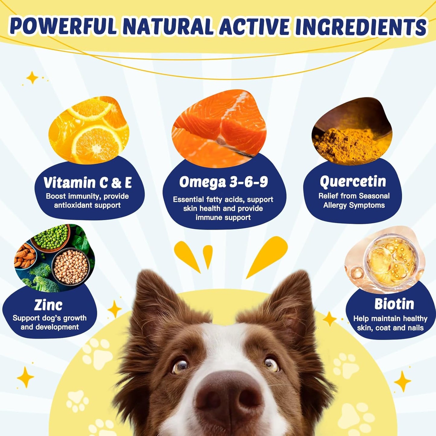 Salmon Oil and Fish Oil Omega 3 Supplement for Dogs - Skin and Coat Relief, Allergy Treatment, Anti-Shedding, Hip and Joint Support - 40 Servings