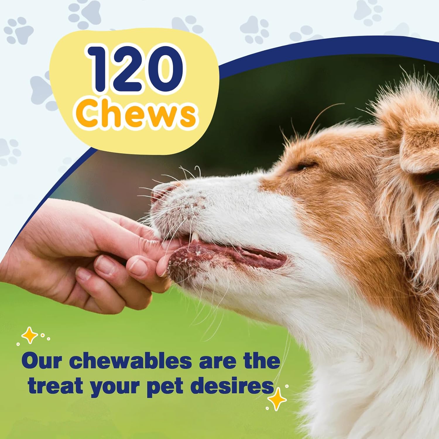 Salmon Oil and Fish Oil Omega 3 Supplement for Dogs - Skin and Coat Relief, Allergy Treatment, Anti-Shedding, Hip and Joint Support - 40 Servings