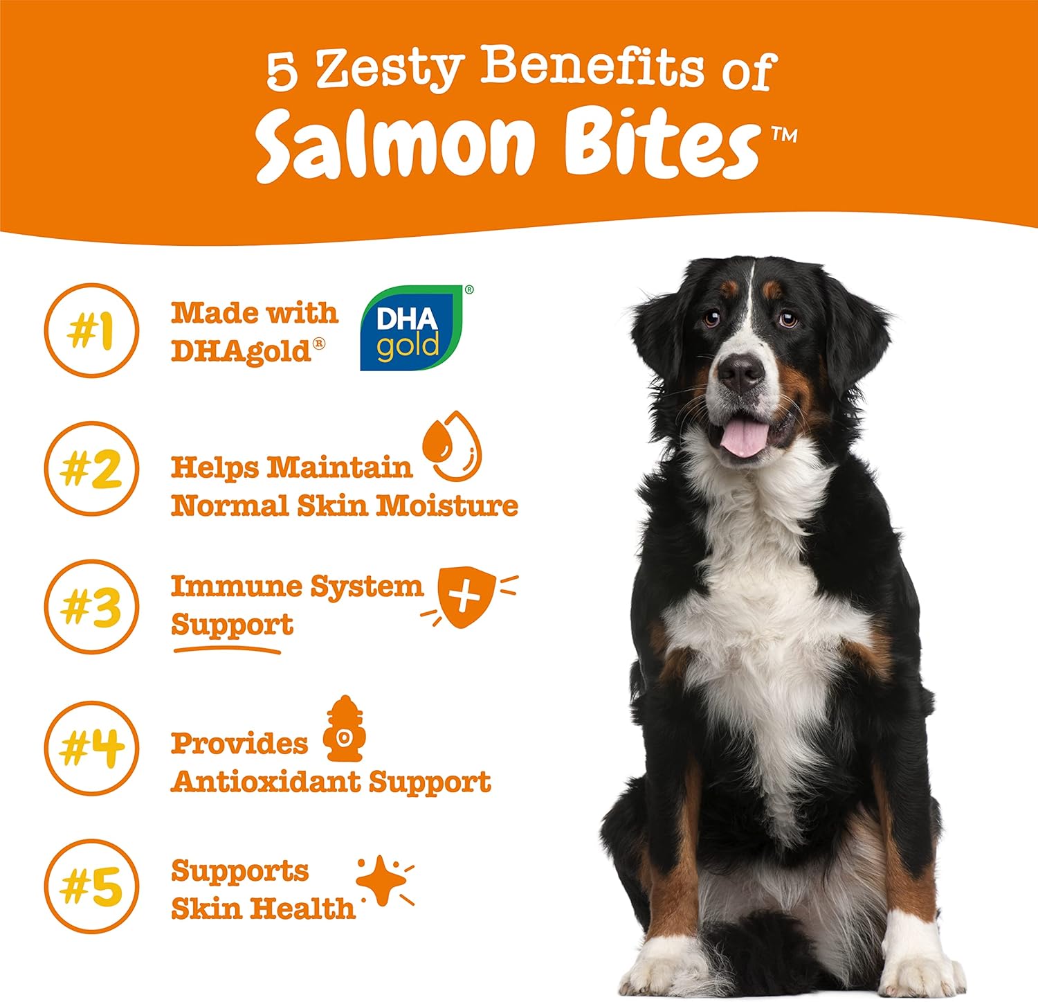 Salmon Oil Chews for Dogs, Omega 3 Skin and Coat Supplement, Allergy Relief, Itch Relief, 90 Count