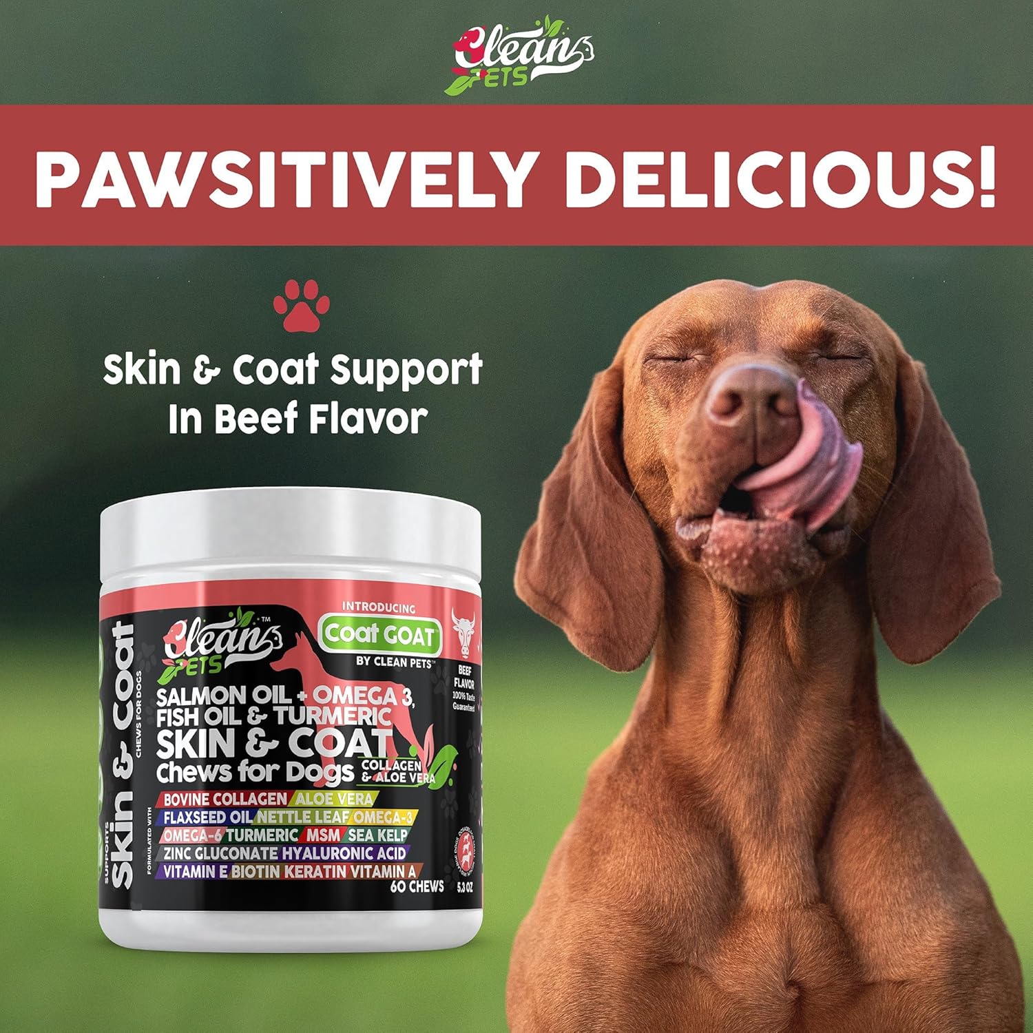 Salmon Oil Omega 3 Fish Oil for Dogs Skin and Coat Supplement with Collagen, Aloe Vera, Biotin, Flaxseed, and Vitamins