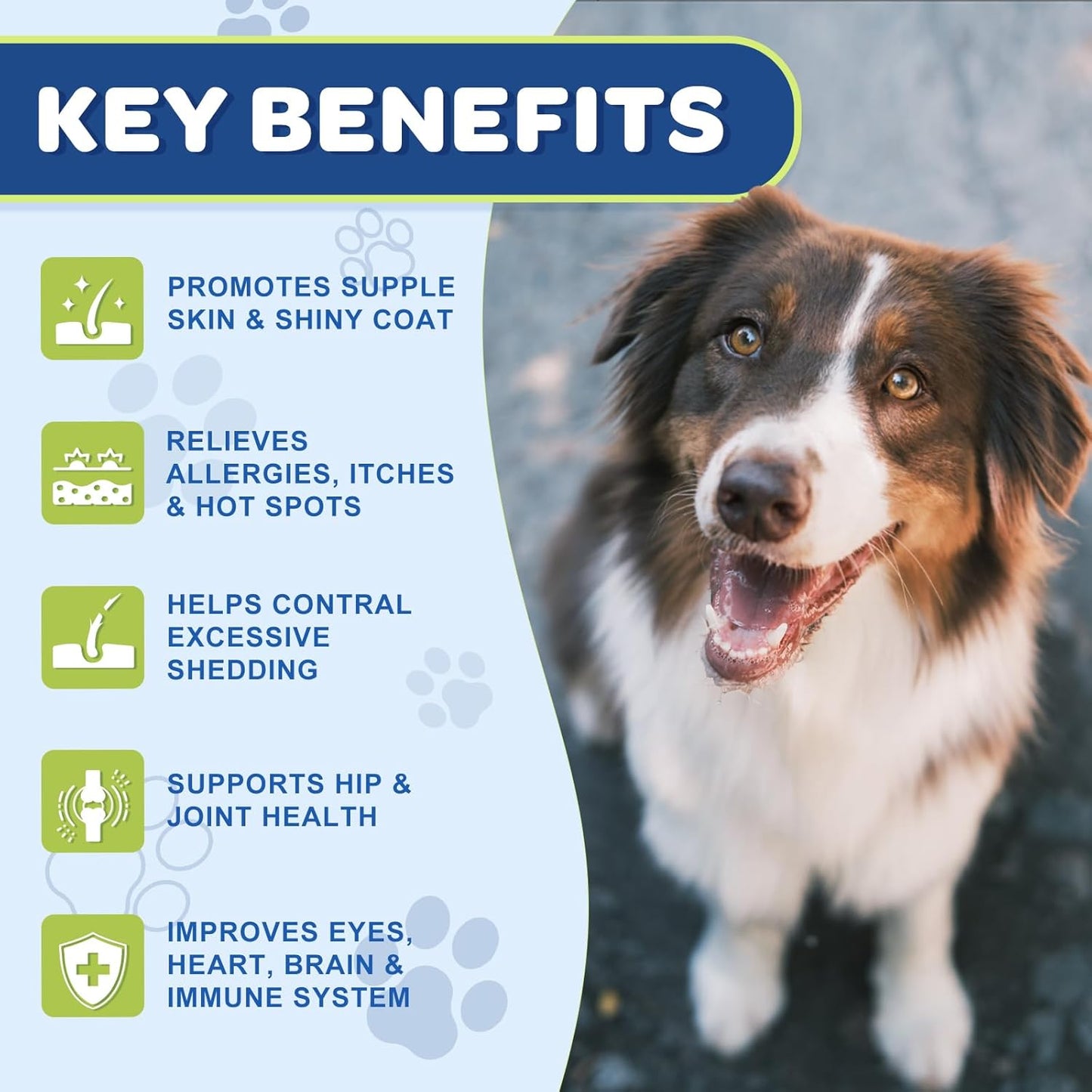 Salmon Oil Omega 3 for Dogs with EPA & DHA Fatty Acids - Skin & Coat Supplement for Itch Relief, Anti-Shedding - 120 Count