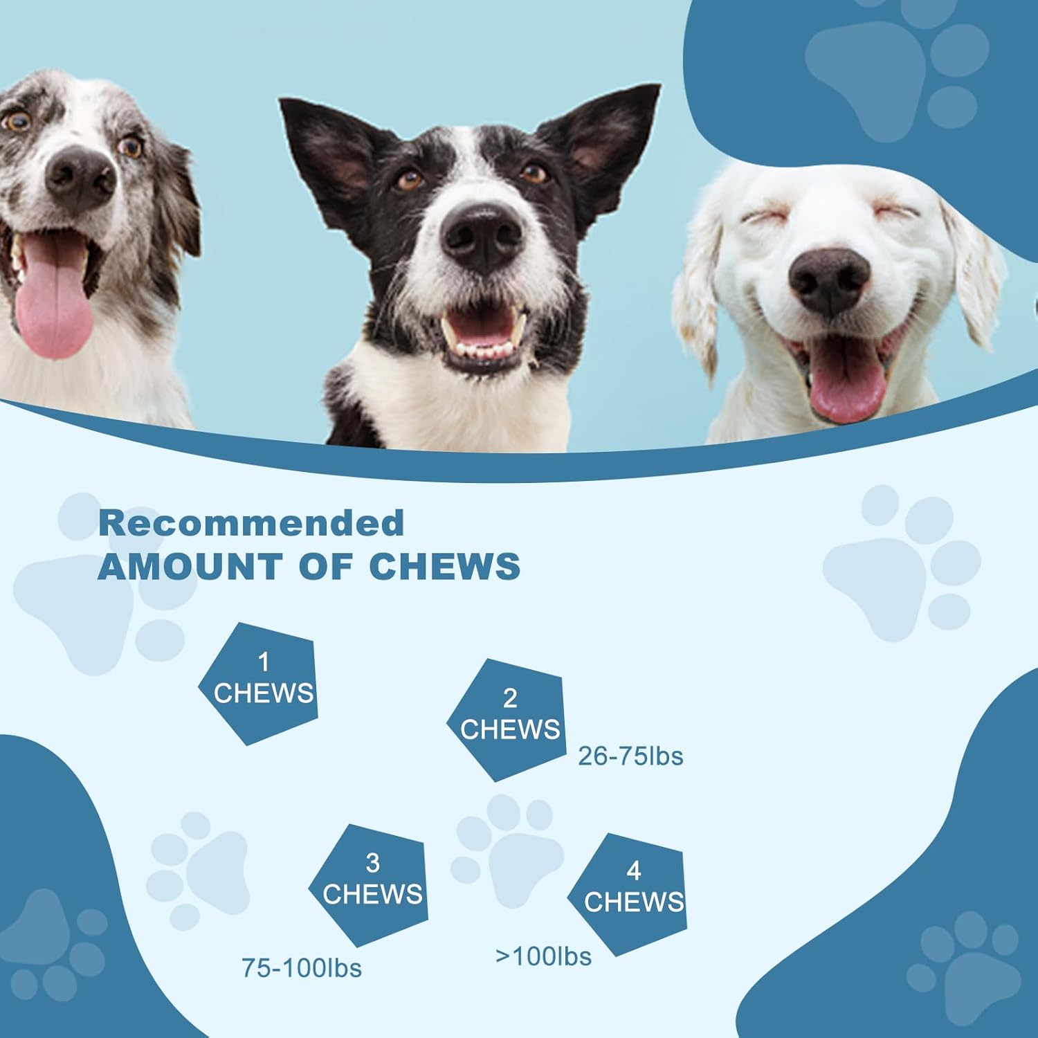 Salmon Oil Skin and Coat Supplement for Dogs - Omega 3 Fish Oil for Dog Allergy Relief, Itchy Skin, Shedding, Shiny Coats - EPA & DHA Formula