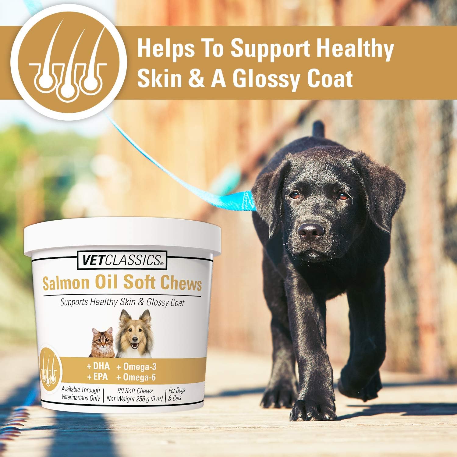 Salmon Oil Soft Chews for Dogs and Cats - Omega Supplement for Healthy Skin and Coats - Includes DHA, EPA - 90 Ct.