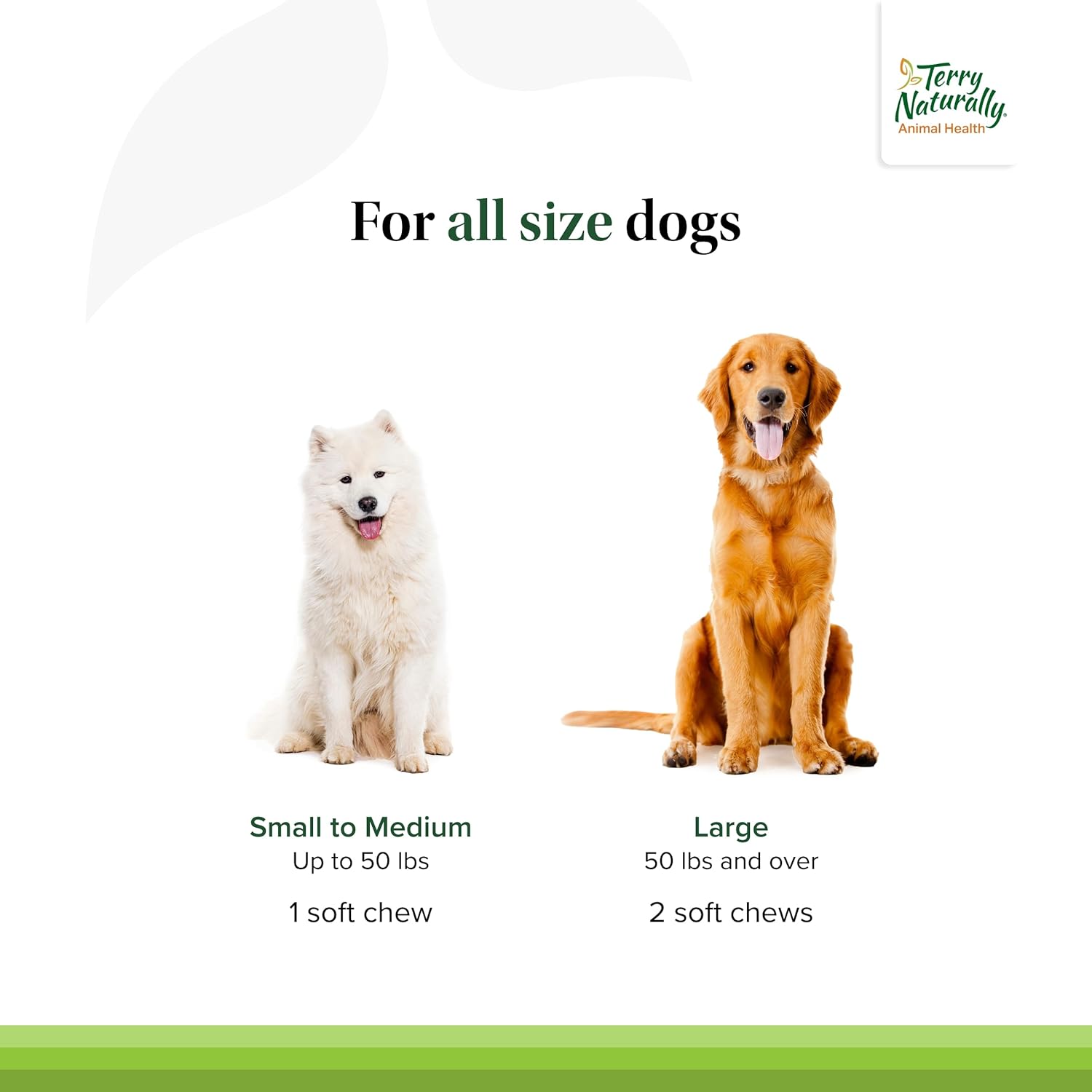 Salmon Omega-3 Soft Chews for Dogs - Promotes Brain & Eye Health - 60 Servings