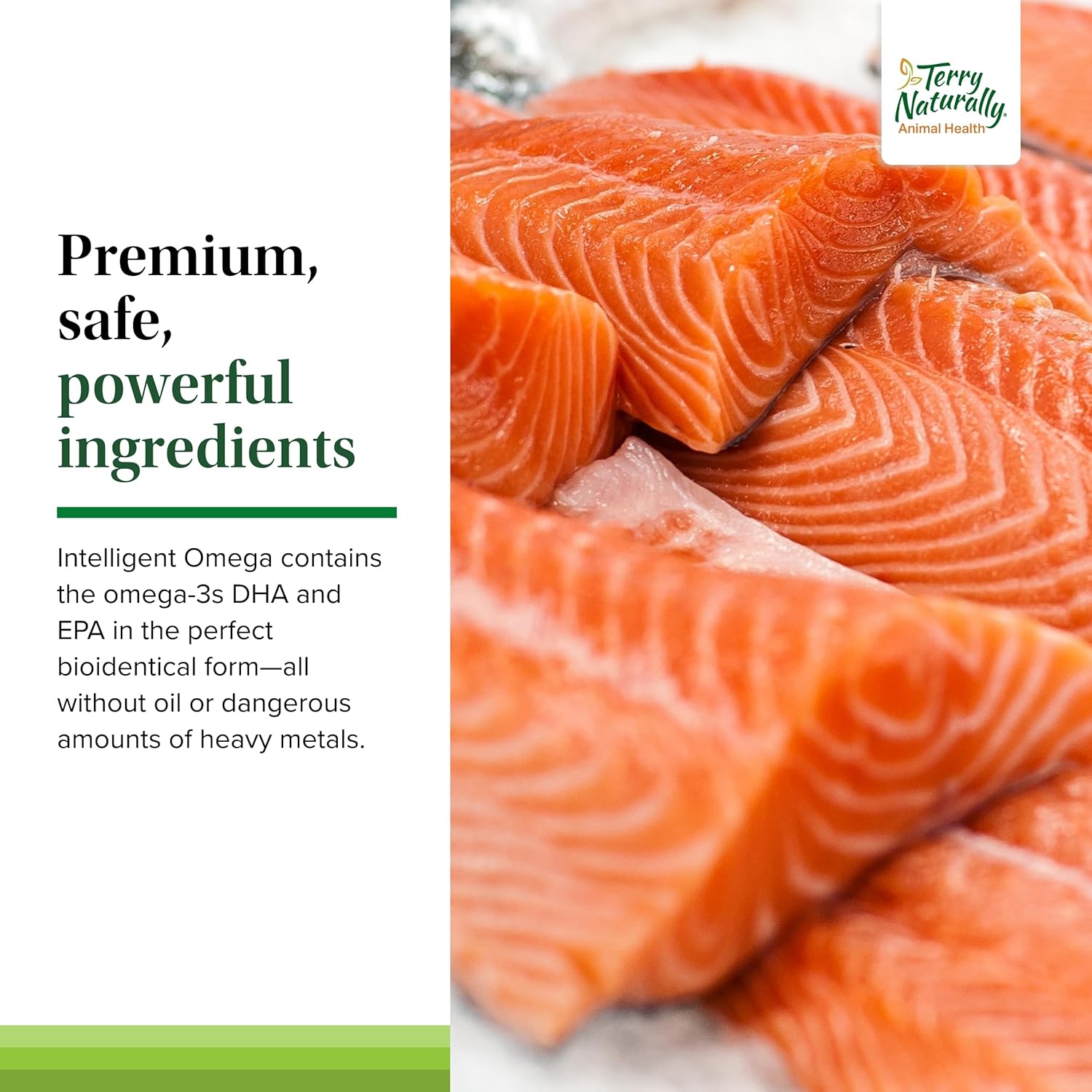 Salmon Omega-3 Soft Chews for Dogs - Promotes Brain & Eye Health - 60 Servings