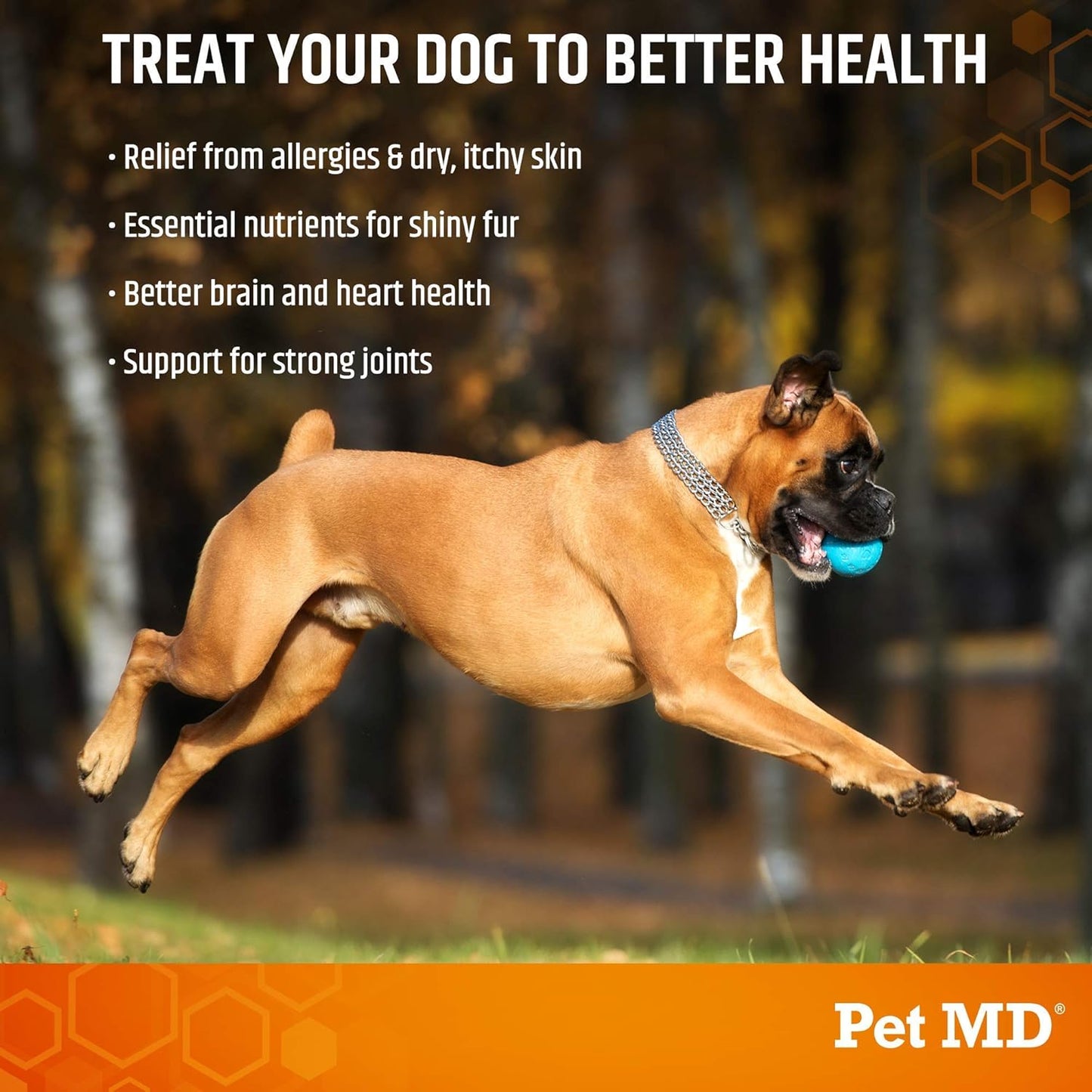 Salmon Omega Bites with 5in1 Multivitamin Softchews for Pets