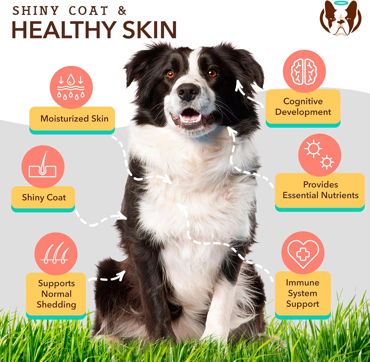 Salmon & Peas Skin & Coat Chews for Dogs - Natural Vitamins & Supplements with Itch Relief for Allergies - Biotin, Vitamin E, Omega 3, Antioxidant