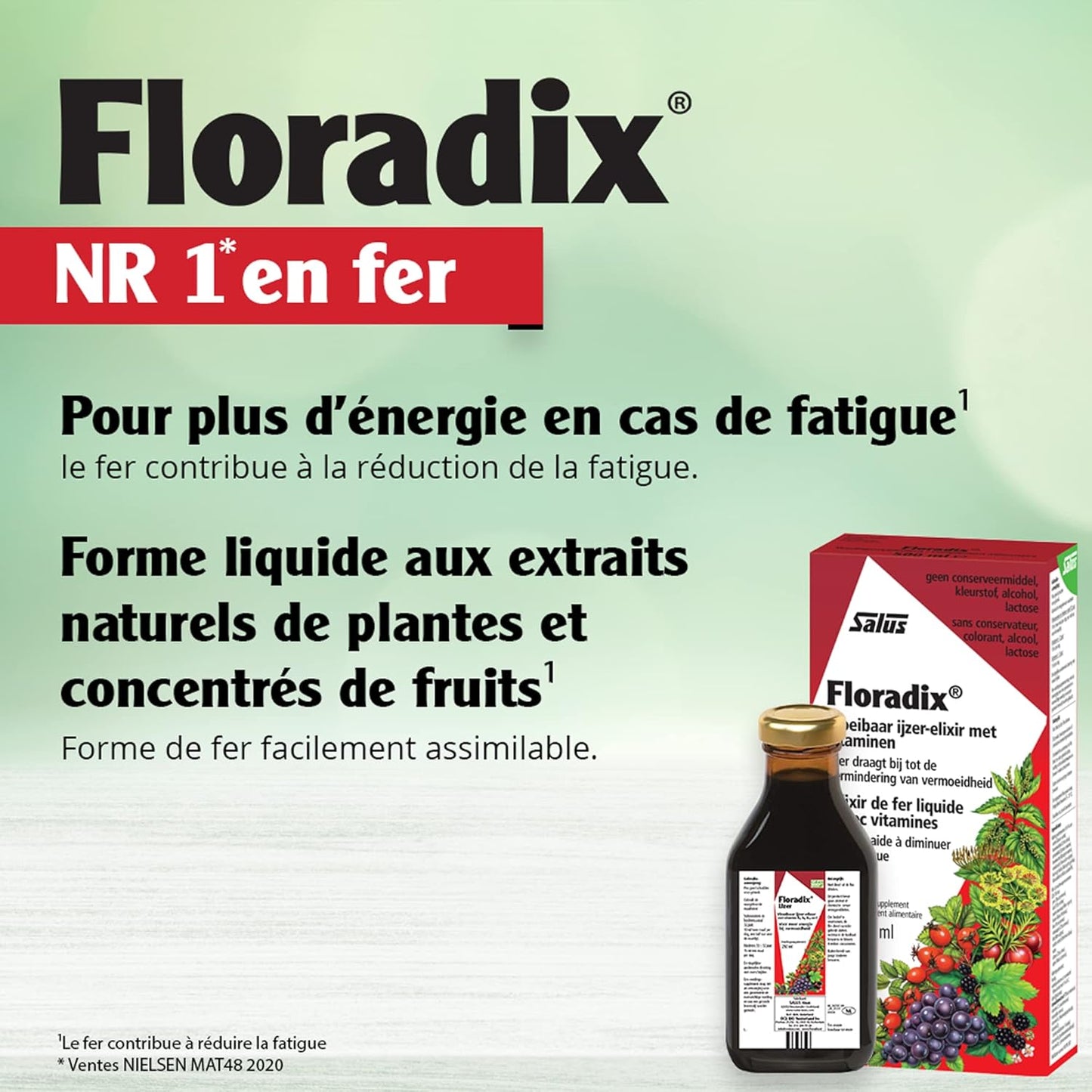 Salus Floradix Liquid Iron and Vitamin Supplement - 250ml Bottle
