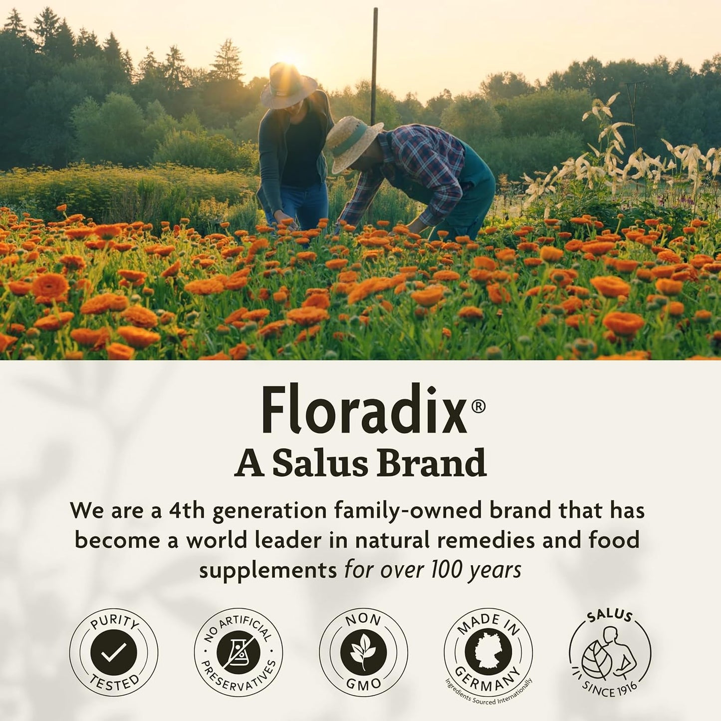 Salus Floradix Liquid Iron & Herbs Supplement for Energy - Vitamin C & B Complex - 8.5 oz Bottle for Men & Women