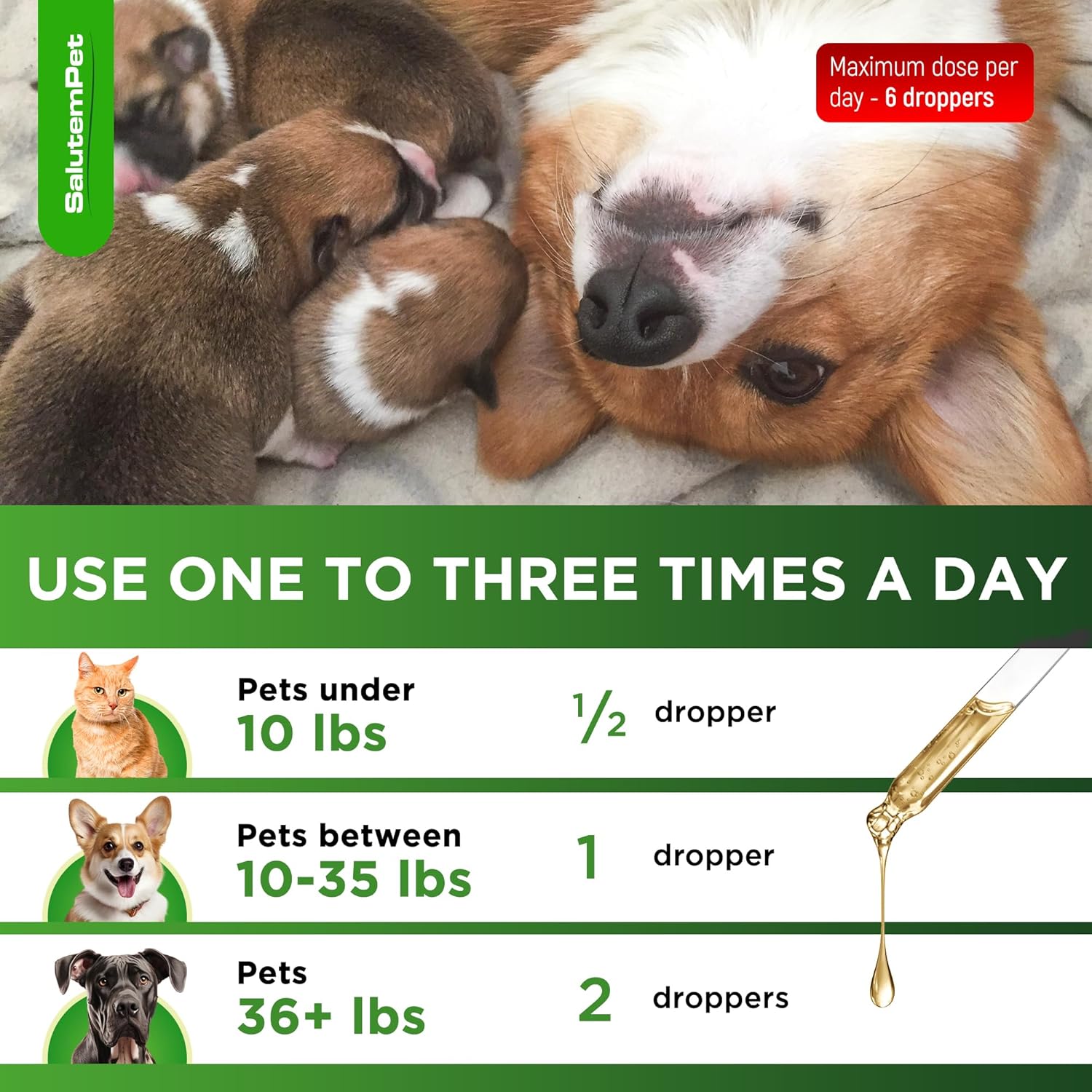 SalutemPet Dog and Cat Prenatal Vitamins - Turkey Flavor, 2 fl.oz Bottle