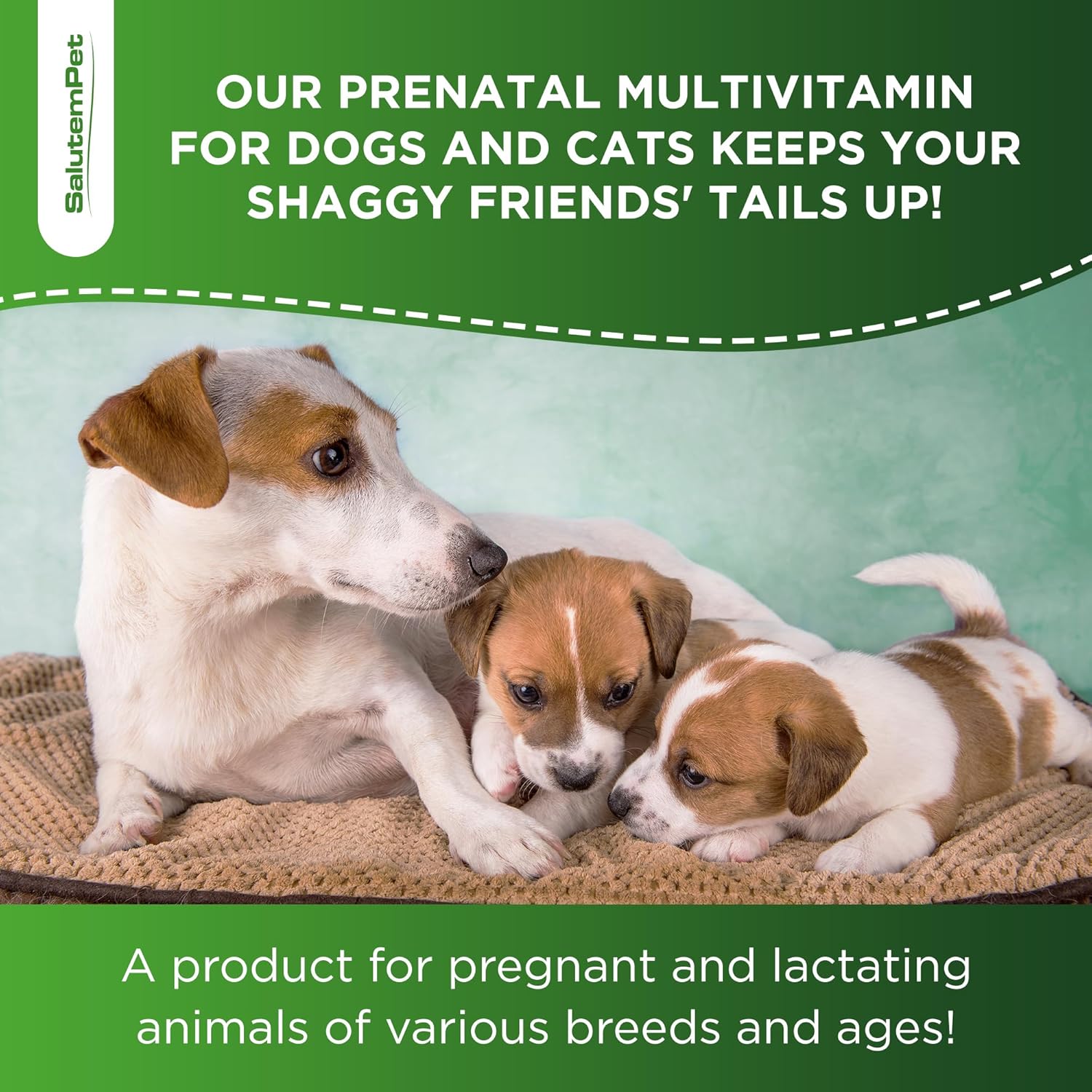 SalutemPet Dog and Cat Prenatal Vitamins - Turkey Flavor, 2 fl.oz Bottle