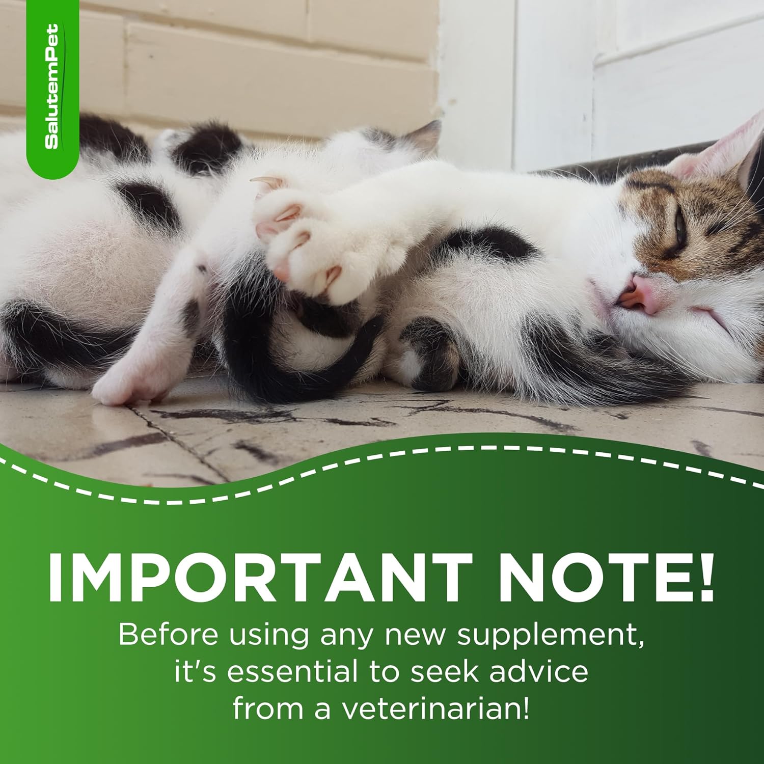 SalutemPet Dog and Cat Prenatal Vitamins - Turkey Flavor, 2 fl.oz Bottle